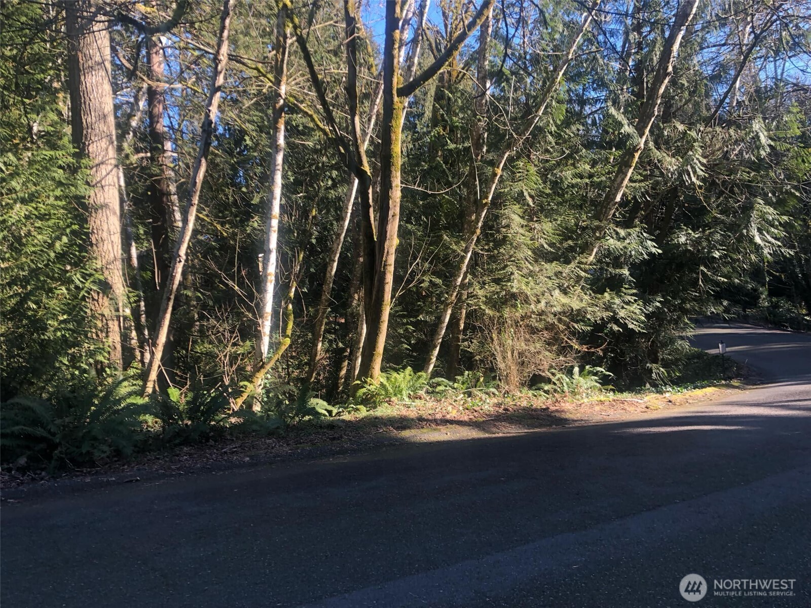 2800 Westwood Drive Property Photo 12