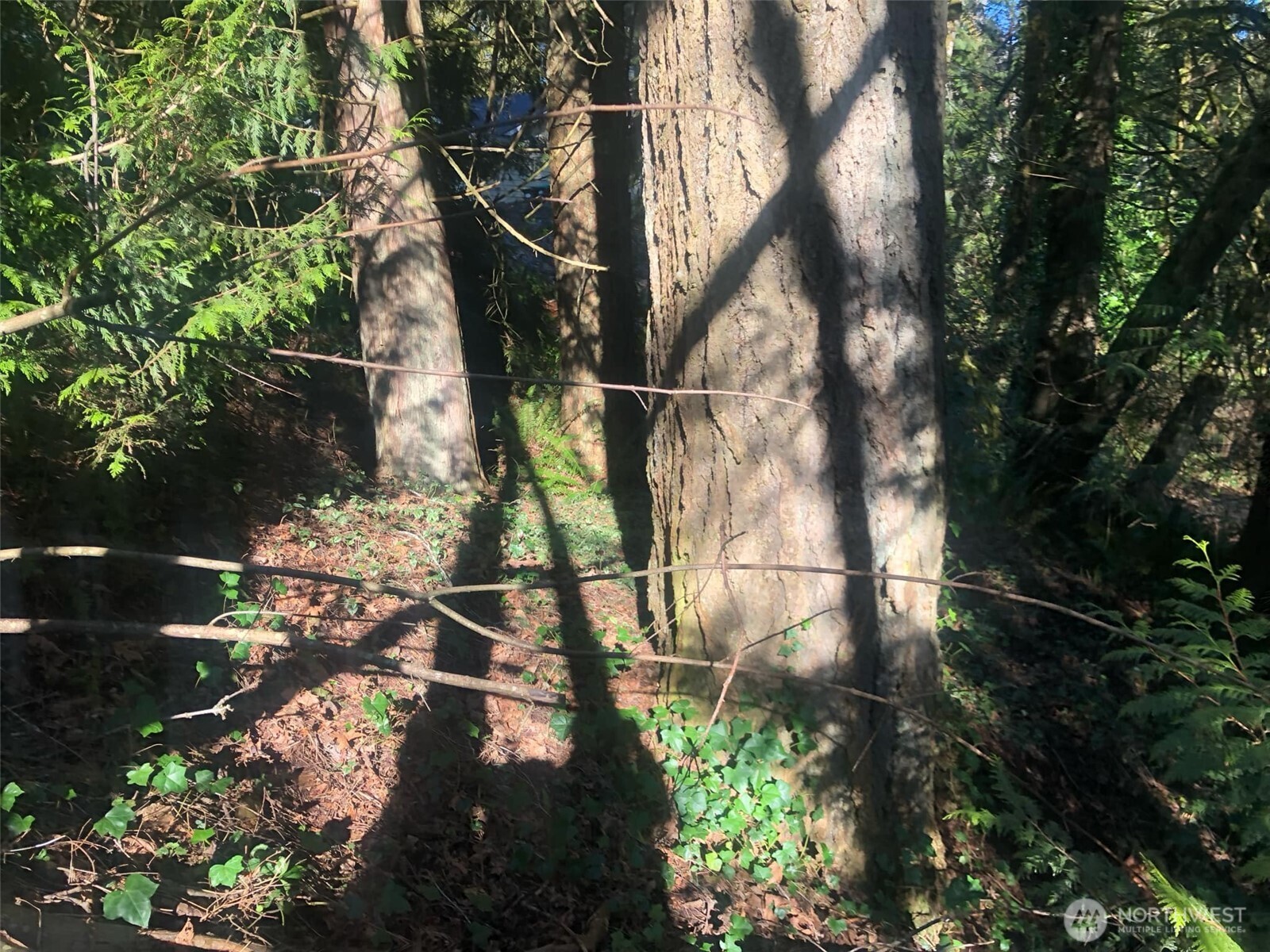 2800 Westwood Drive Property Photo 17