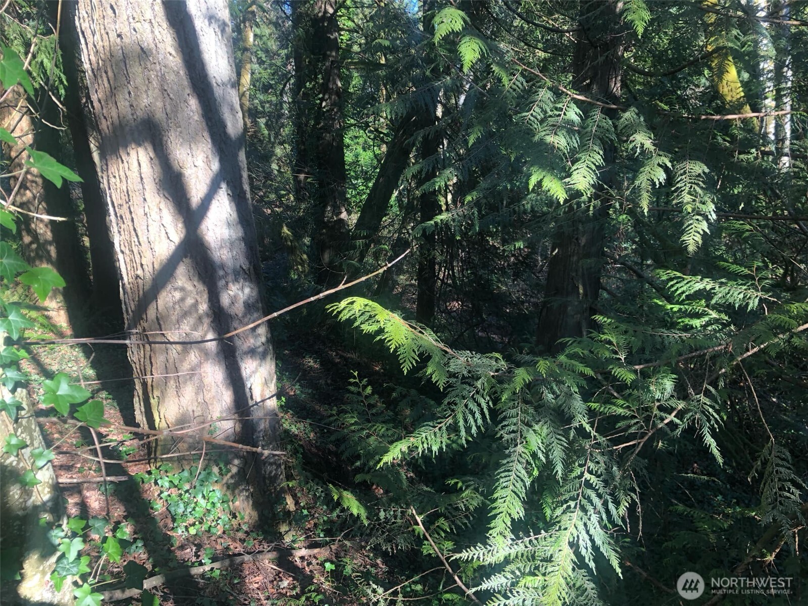 2800 Westwood Drive Property Photo 19