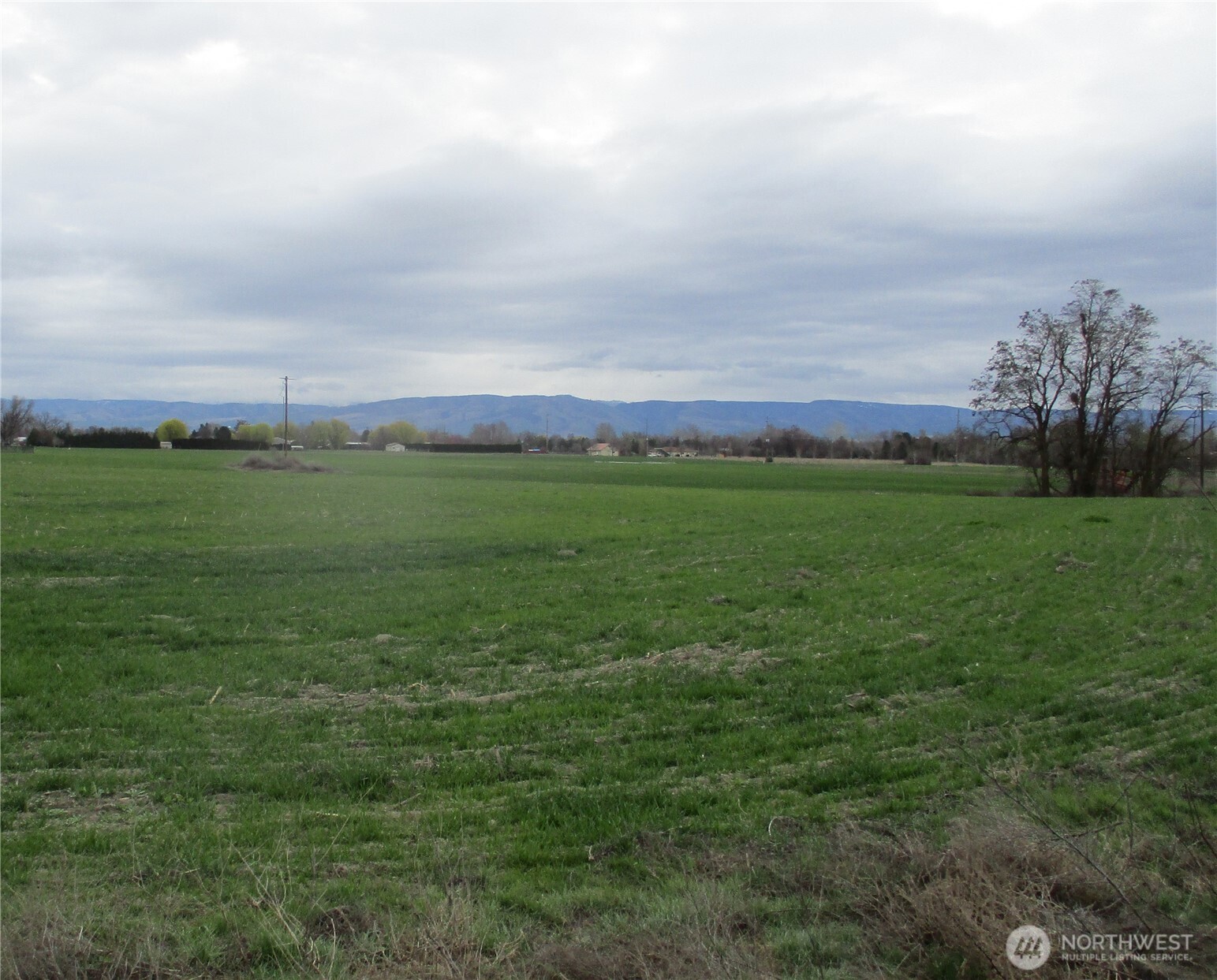 0 Bunchgrass Lane Property Photo 1