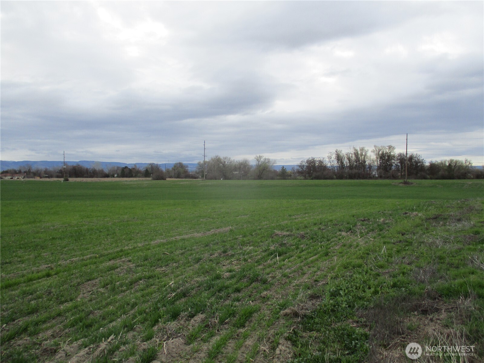 0 Bunchgrass Lane Property Photo 8
