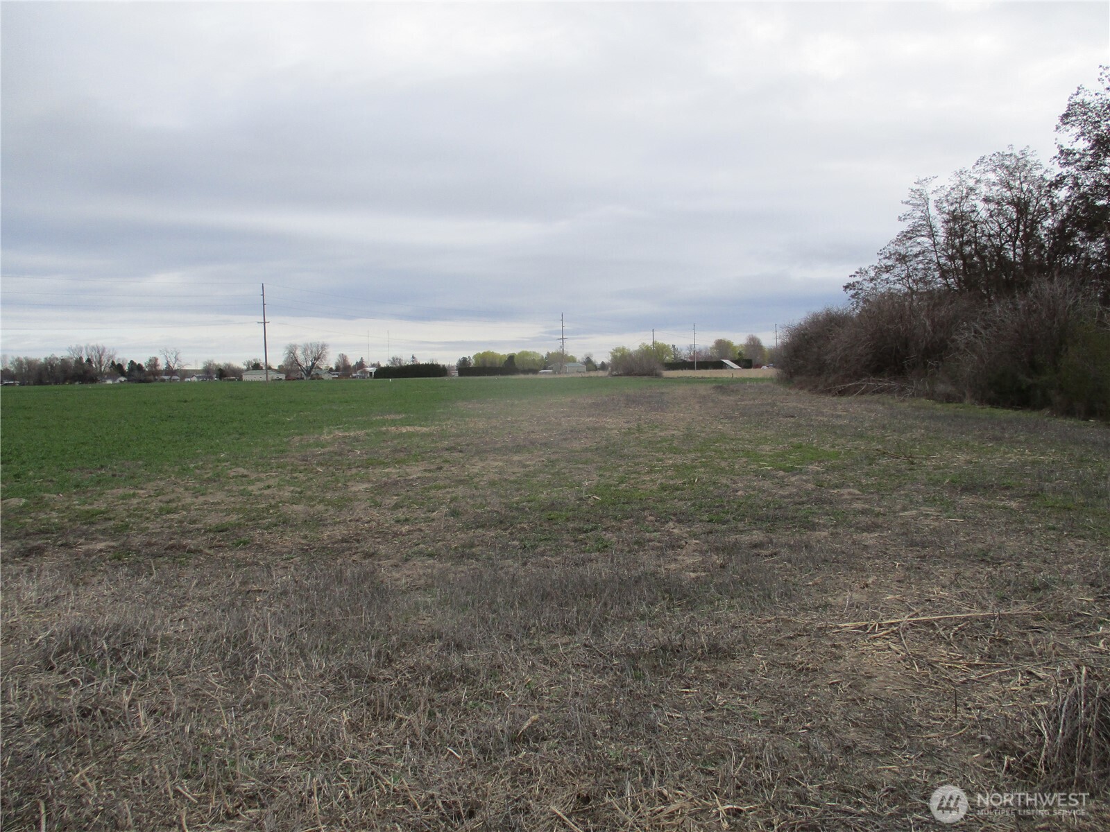 0 Bunchgrass Lane Property Photo 9