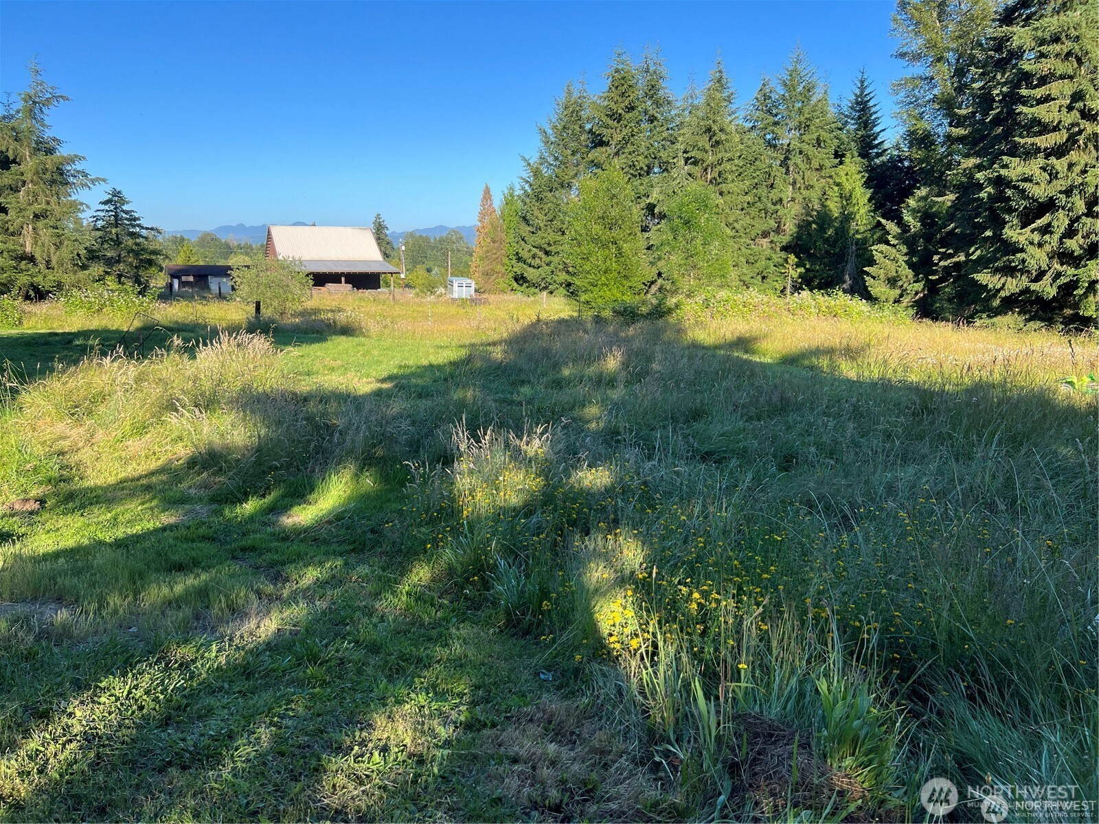27721 Webster Road Property Photo 3