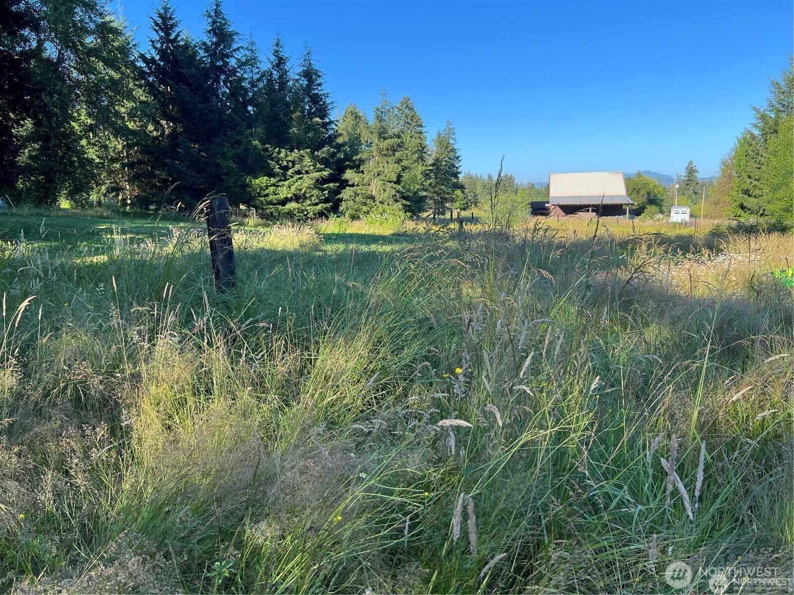 27721 Webster Road Property Photo 4