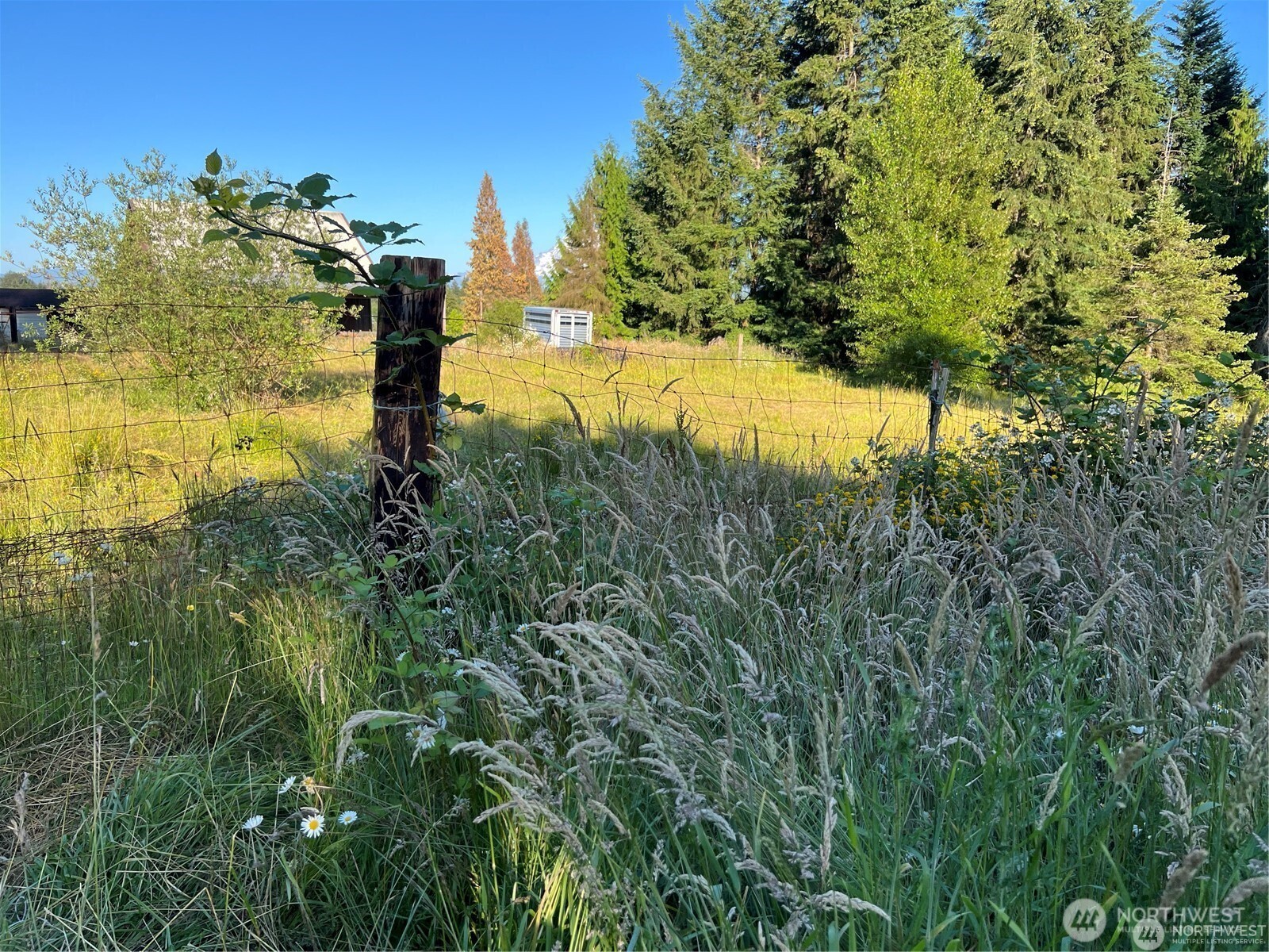 27721 Webster Road Property Photo 5