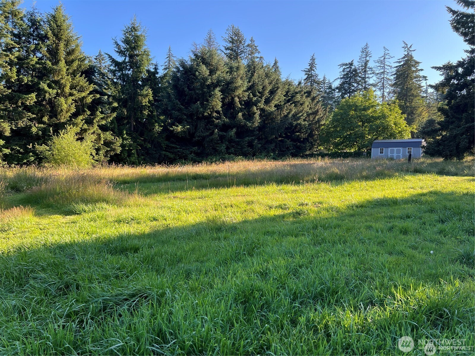 27721 Webster Road Property Photo 6