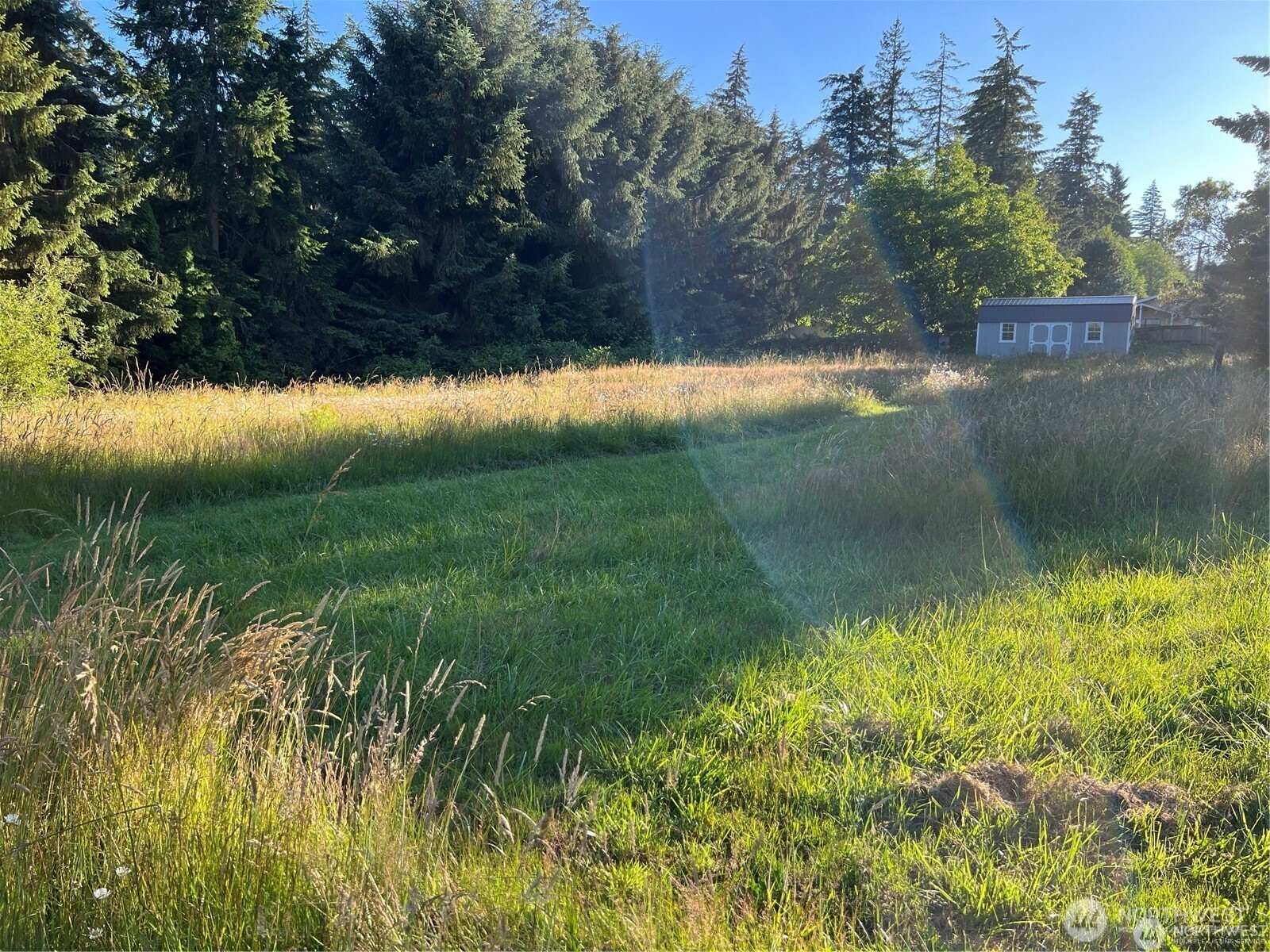 27721 Webster Road Property Photo 8