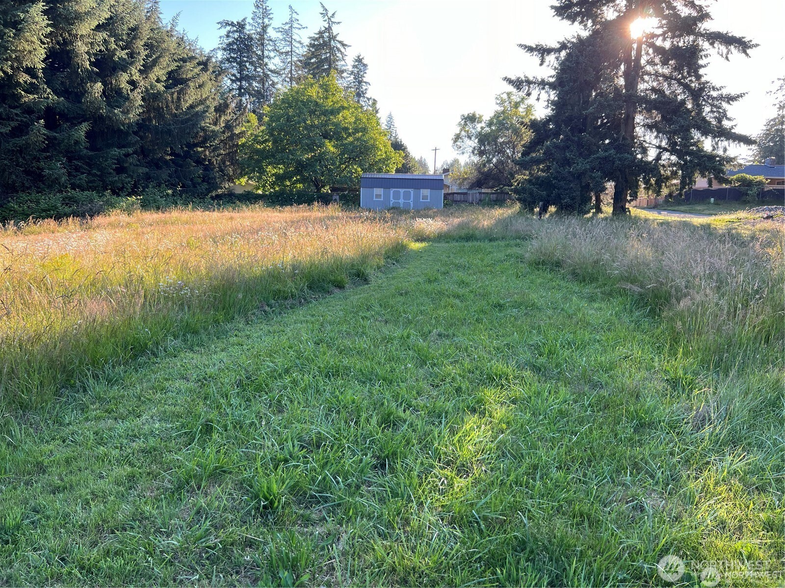 27721 Webster Road Property Photo 10