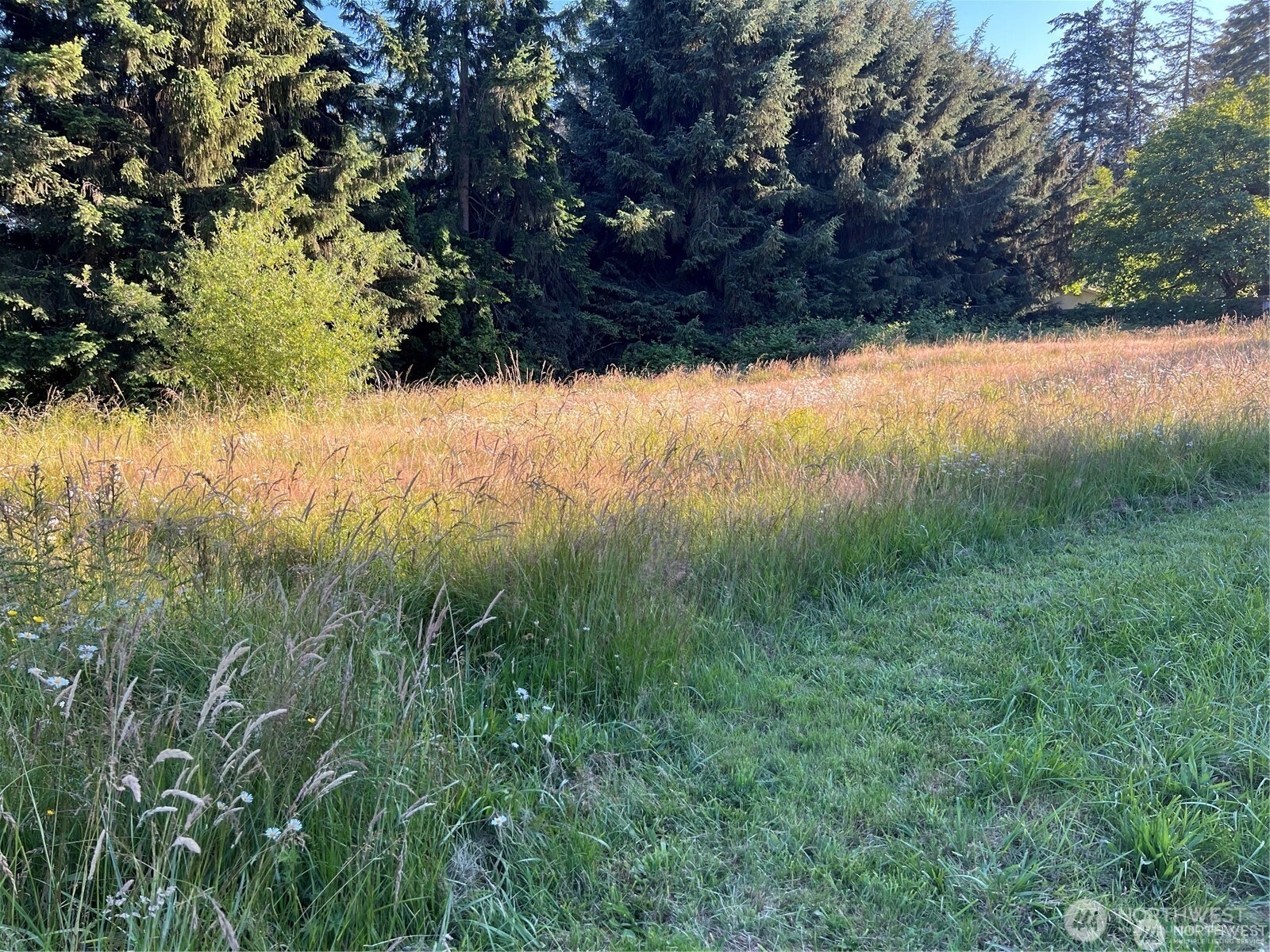 27721 Webster Road Property Photo 11