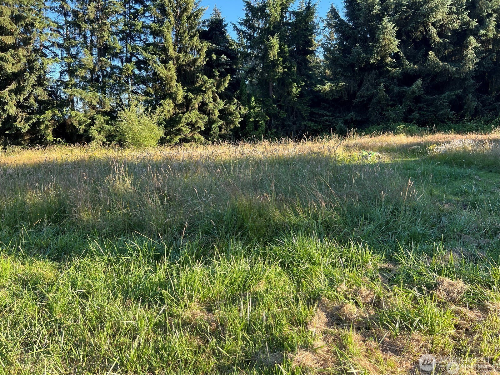 27721 Webster Road Property Photo 13