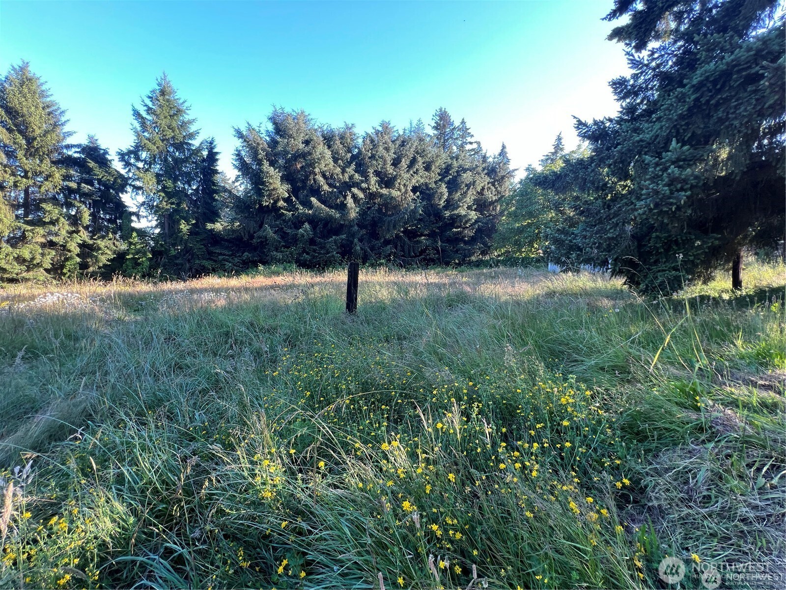 27721 Webster Road Property Photo 15