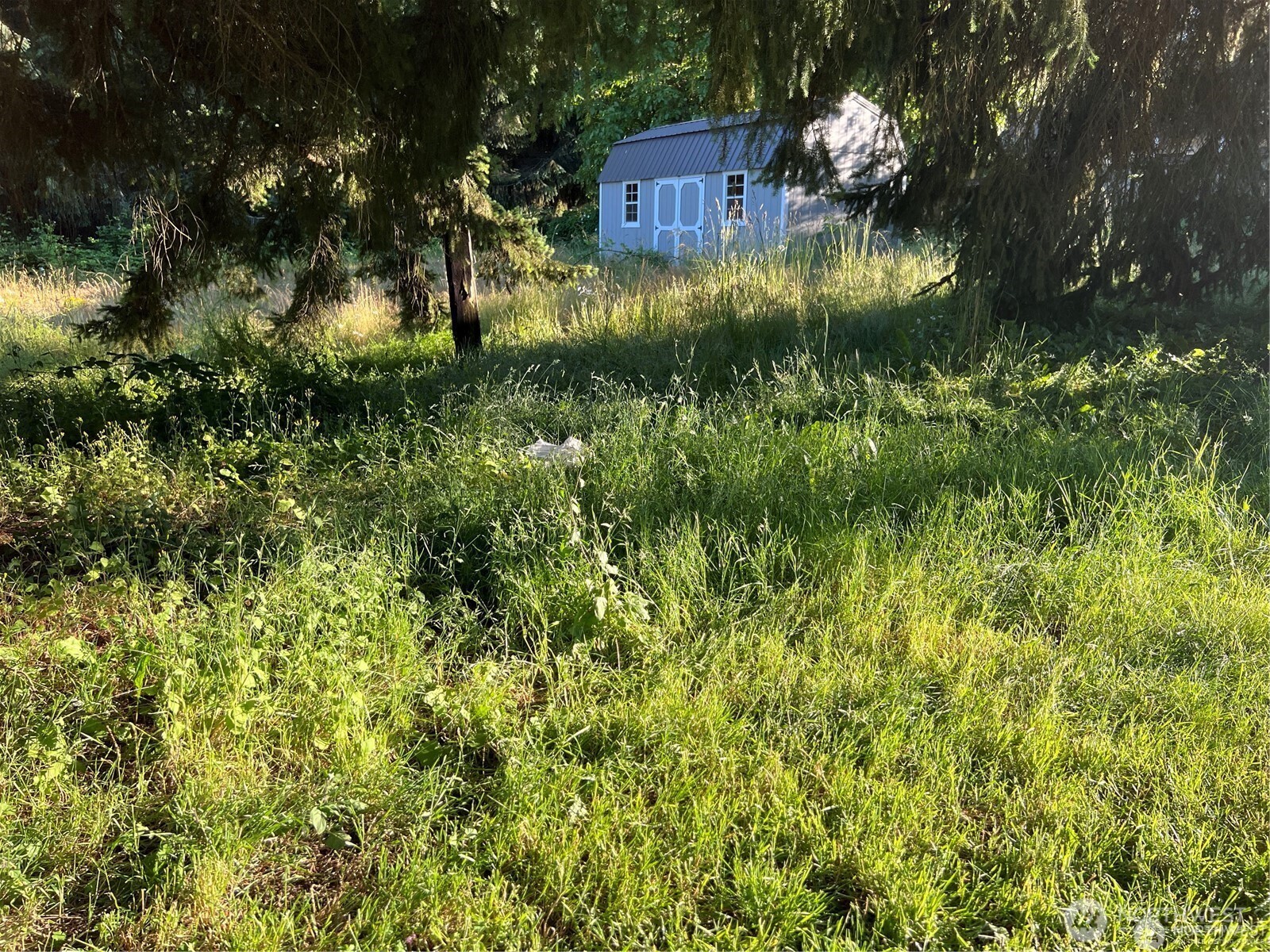 27721 Webster Road Property Photo 16