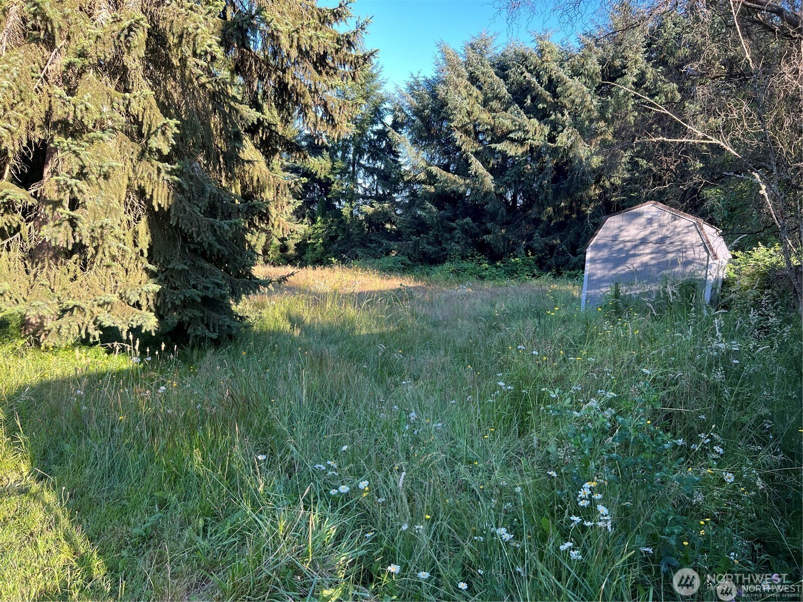 27721 Webster Road Property Photo 17