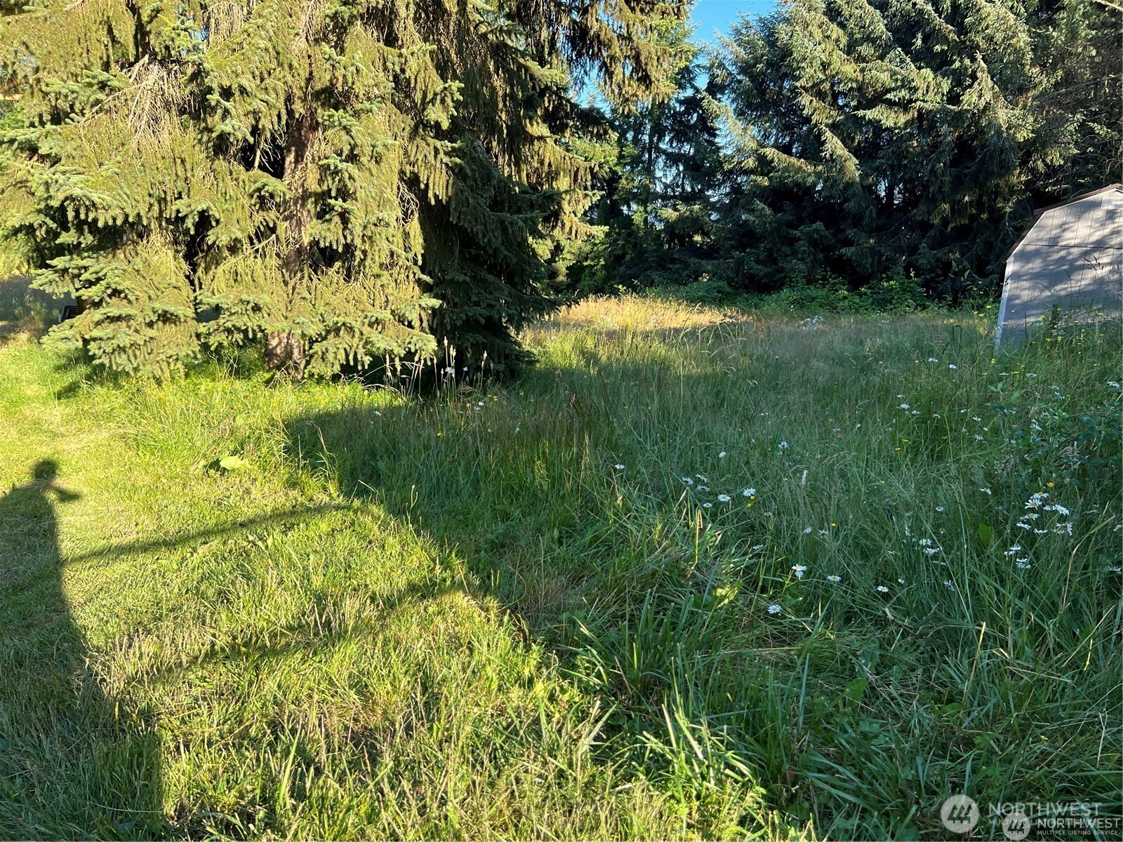 27721 Webster Road Property Photo 18