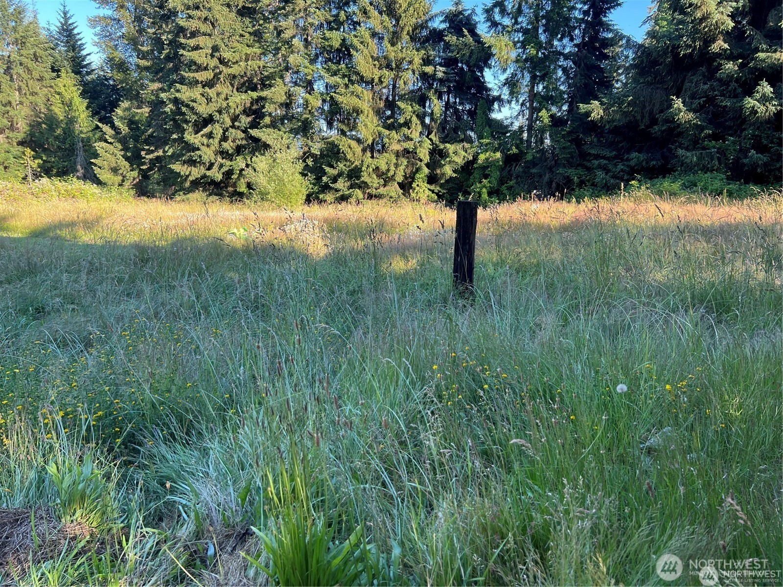 27721 Webster Road Property Photo 22