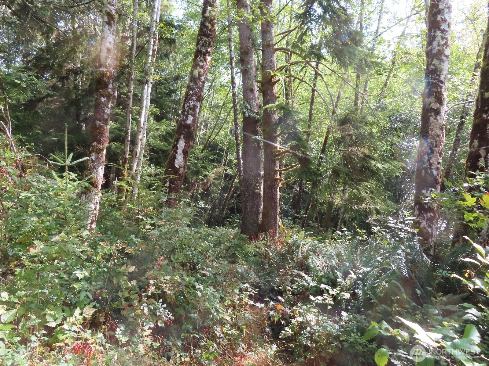 0 Tract 2 State Route 101 Property Photo 17