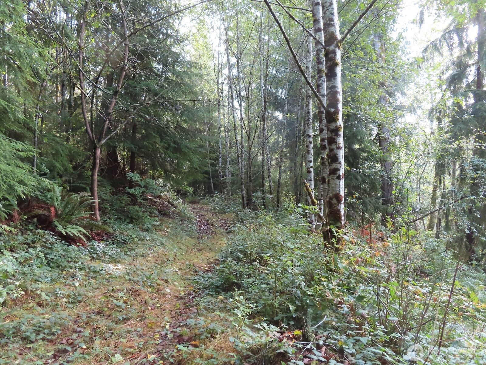 0 Tract 2 State Route 101 Property Photo 20