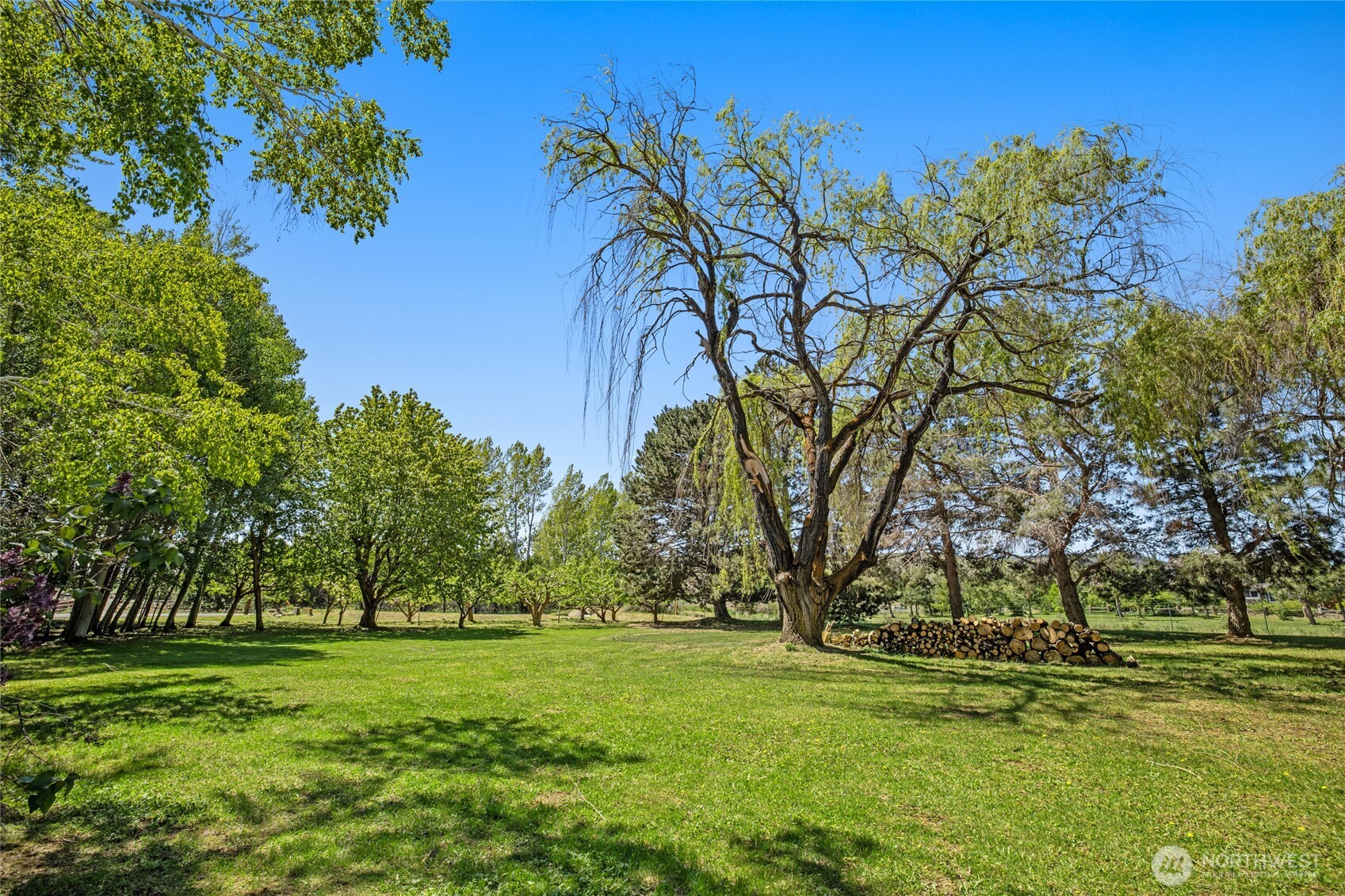 3701 Robinson Canyon Road Property Photo 34