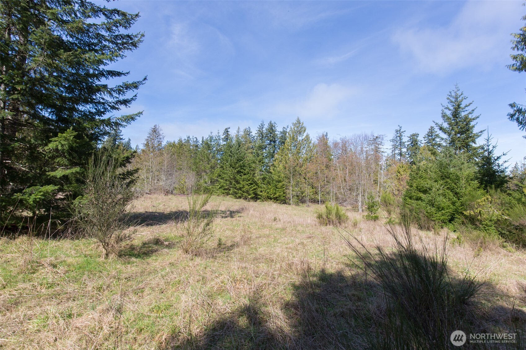 0 Colville Road Property Photo 6