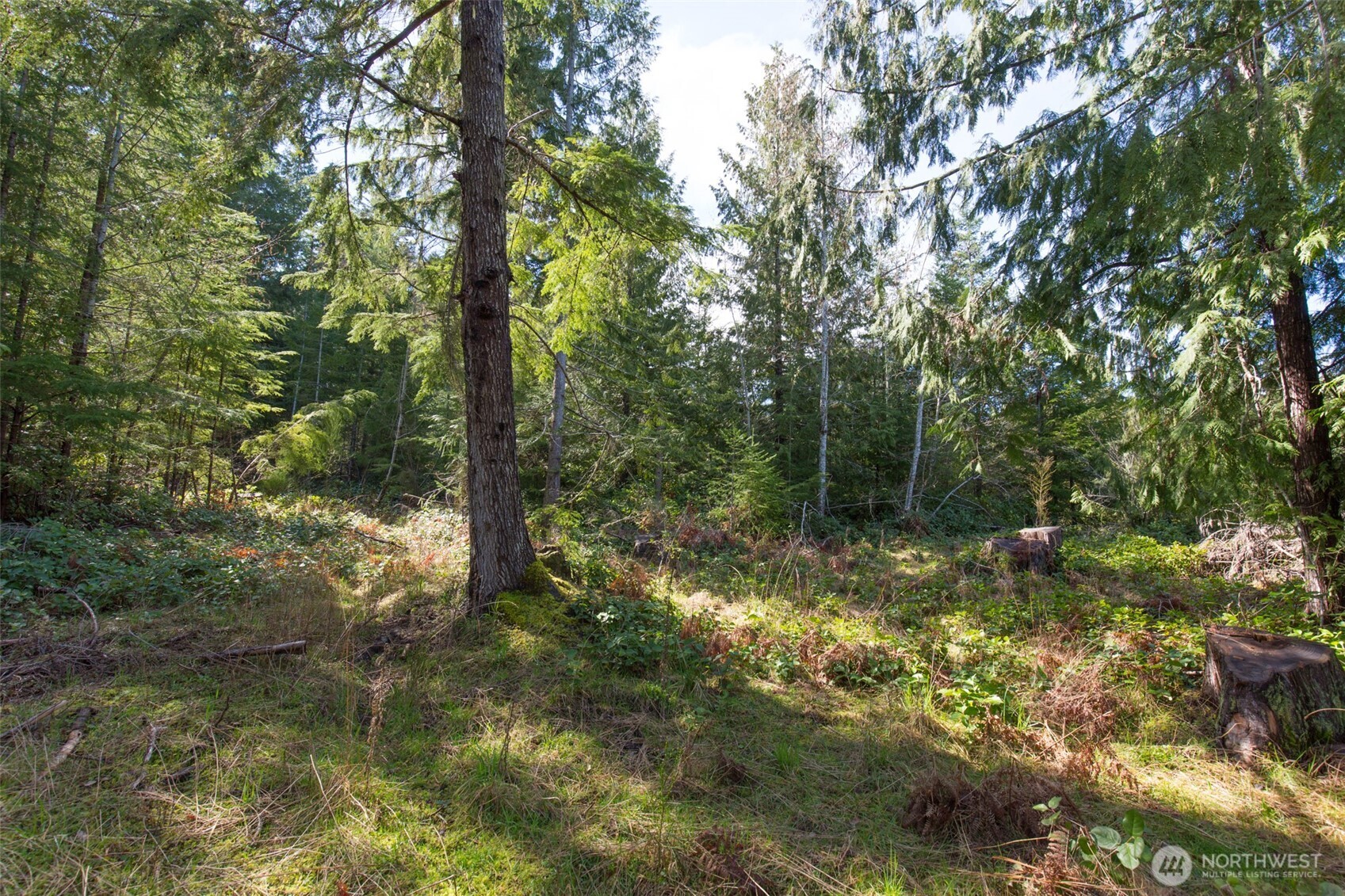 0 Colville Road Property Photo 13