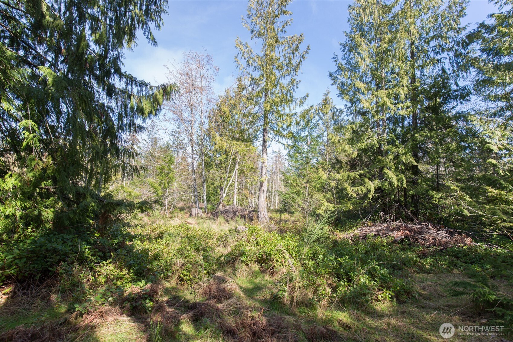 0 Colville Road Property Photo 14