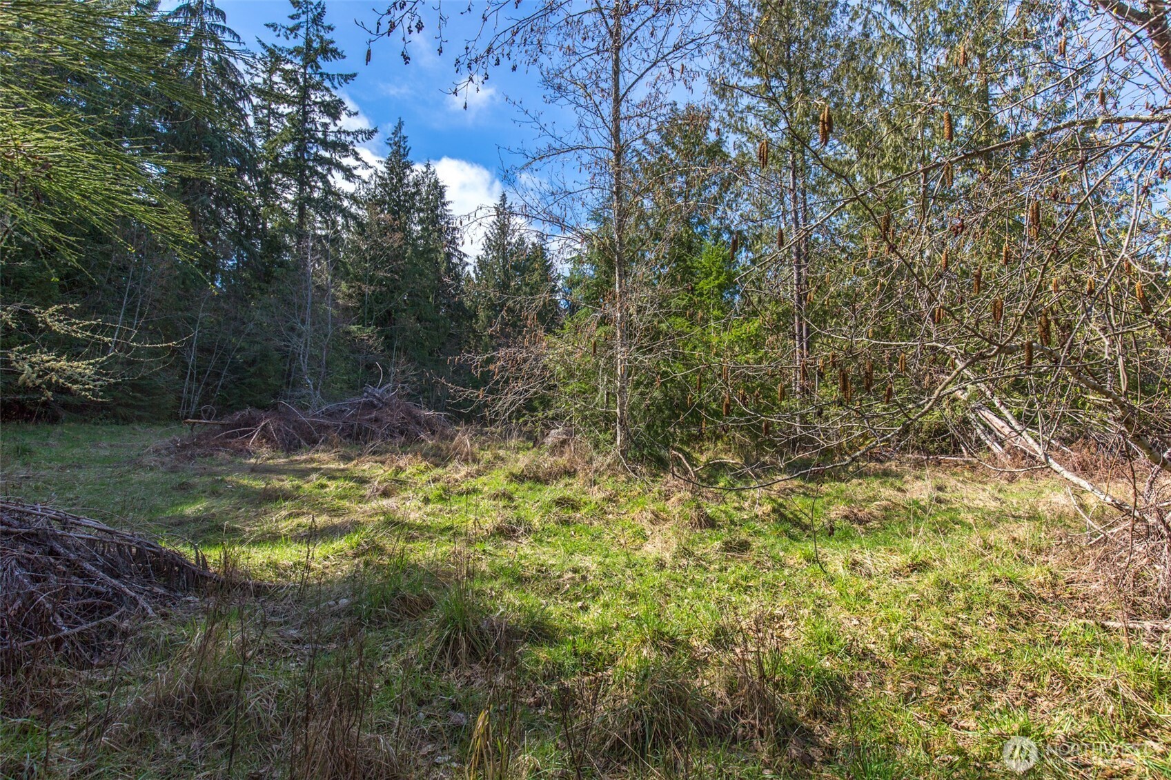 0 Colville Road Property Photo 15