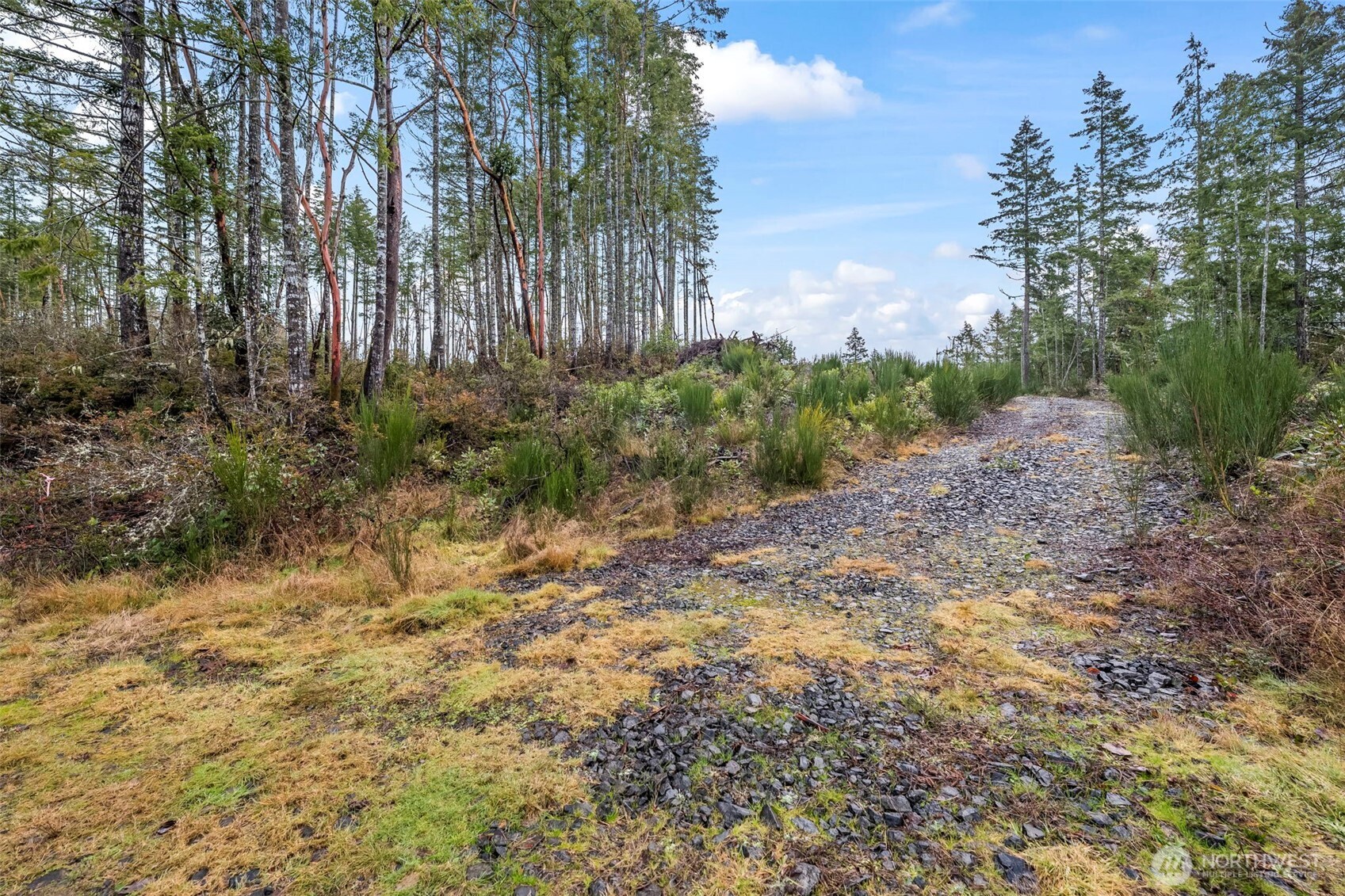 1809 208th Avenue Property Photo 14