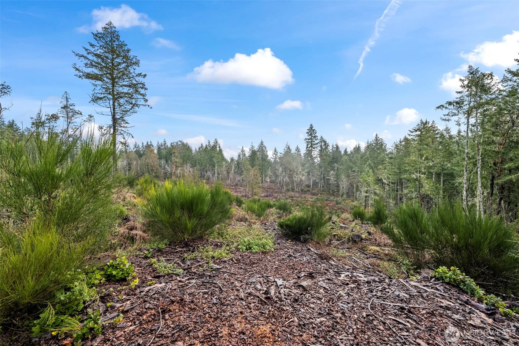 1809 208th Avenue Property Photo 16