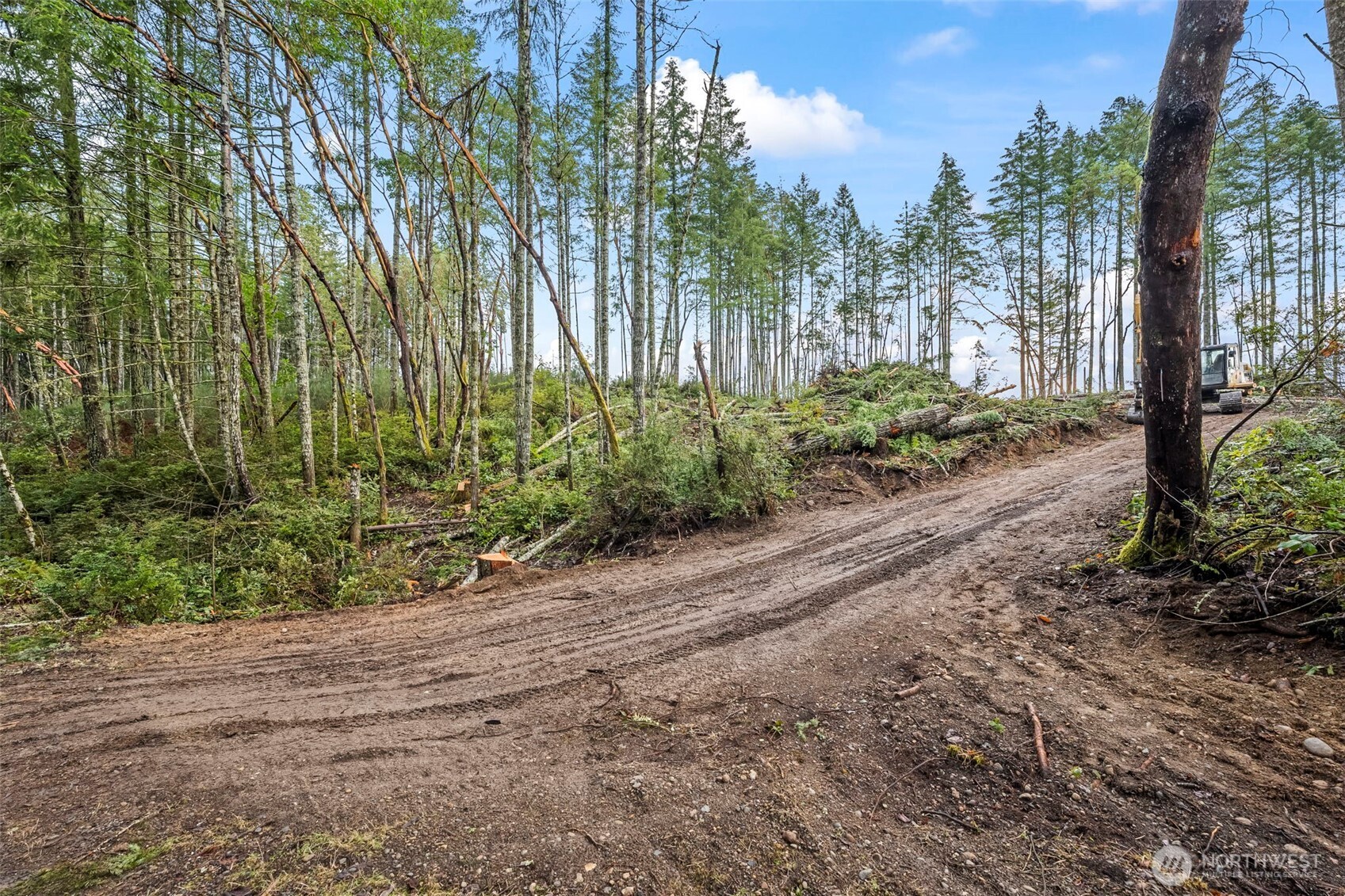 1809 208th Avenue Property Photo 18