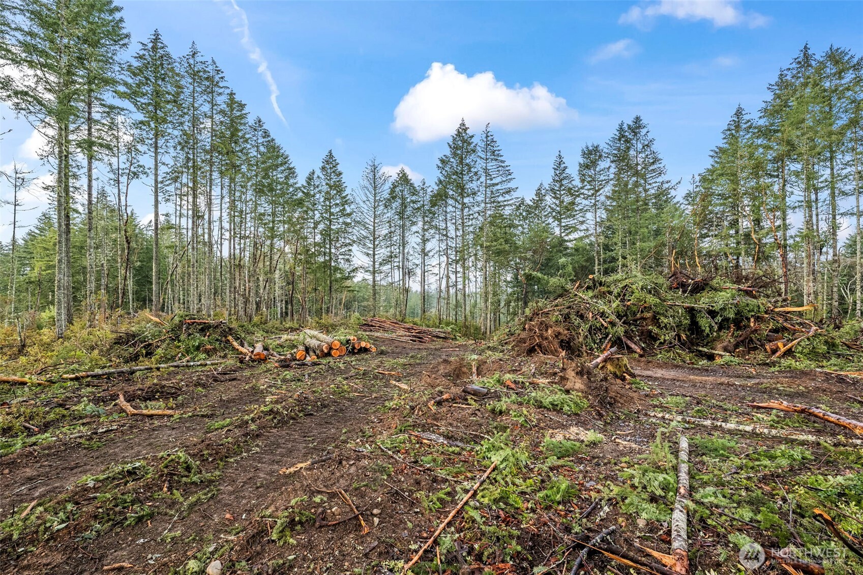 1809 208th Avenue Property Photo 22