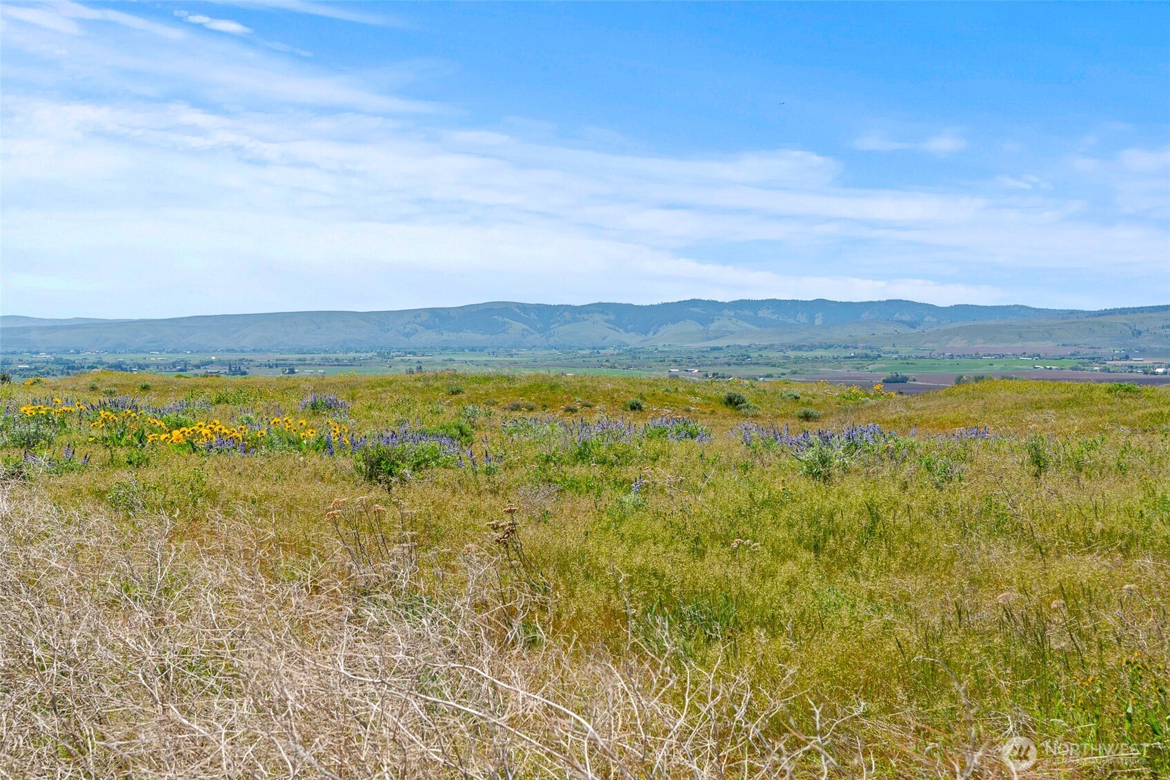 920 Sundance Lane Property Photo 25