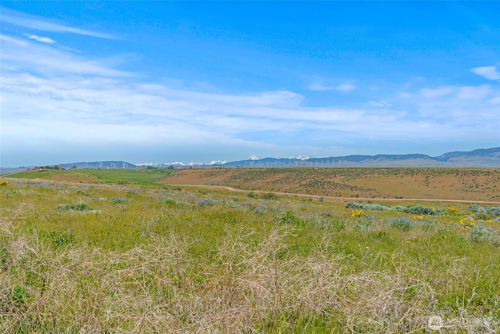 920 Sundance Lane Property Photo 26