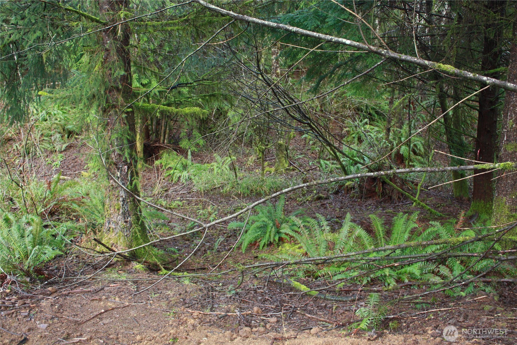 0 Xx State Route 105 Property Photo 6
