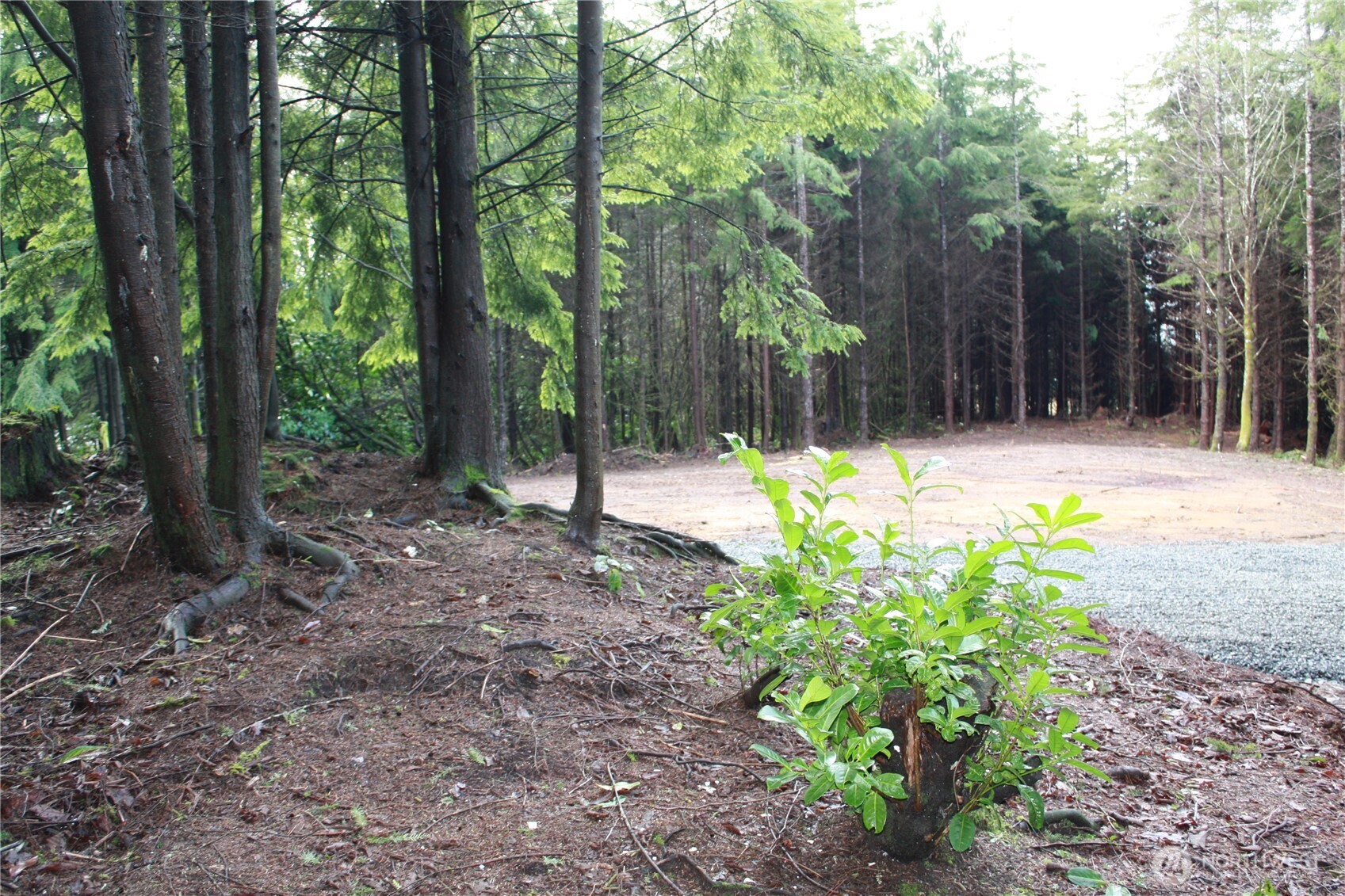 0 Xx State Route 105 Property Photo 25
