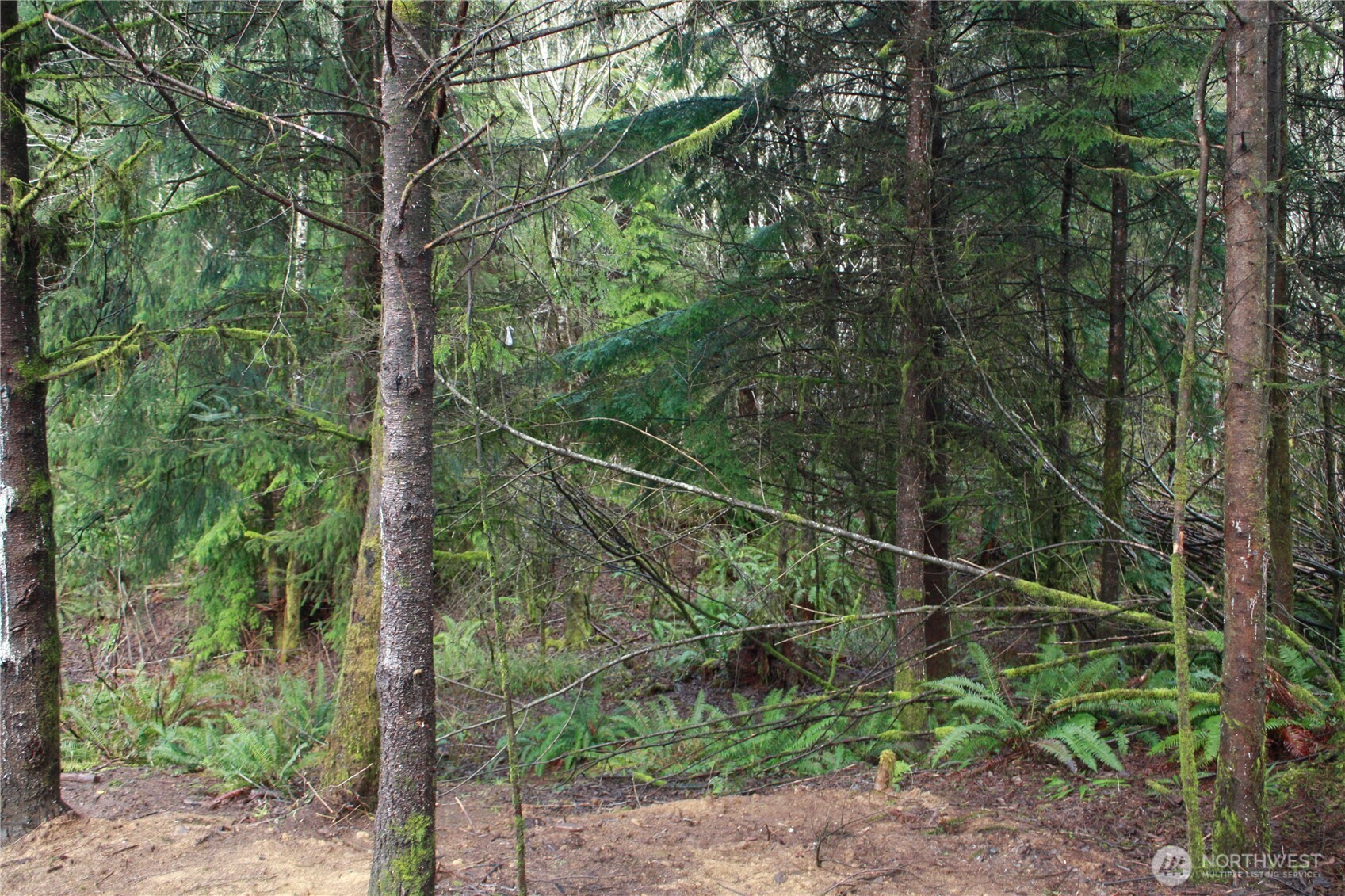 0 Xx State Route 105 Property Photo 27
