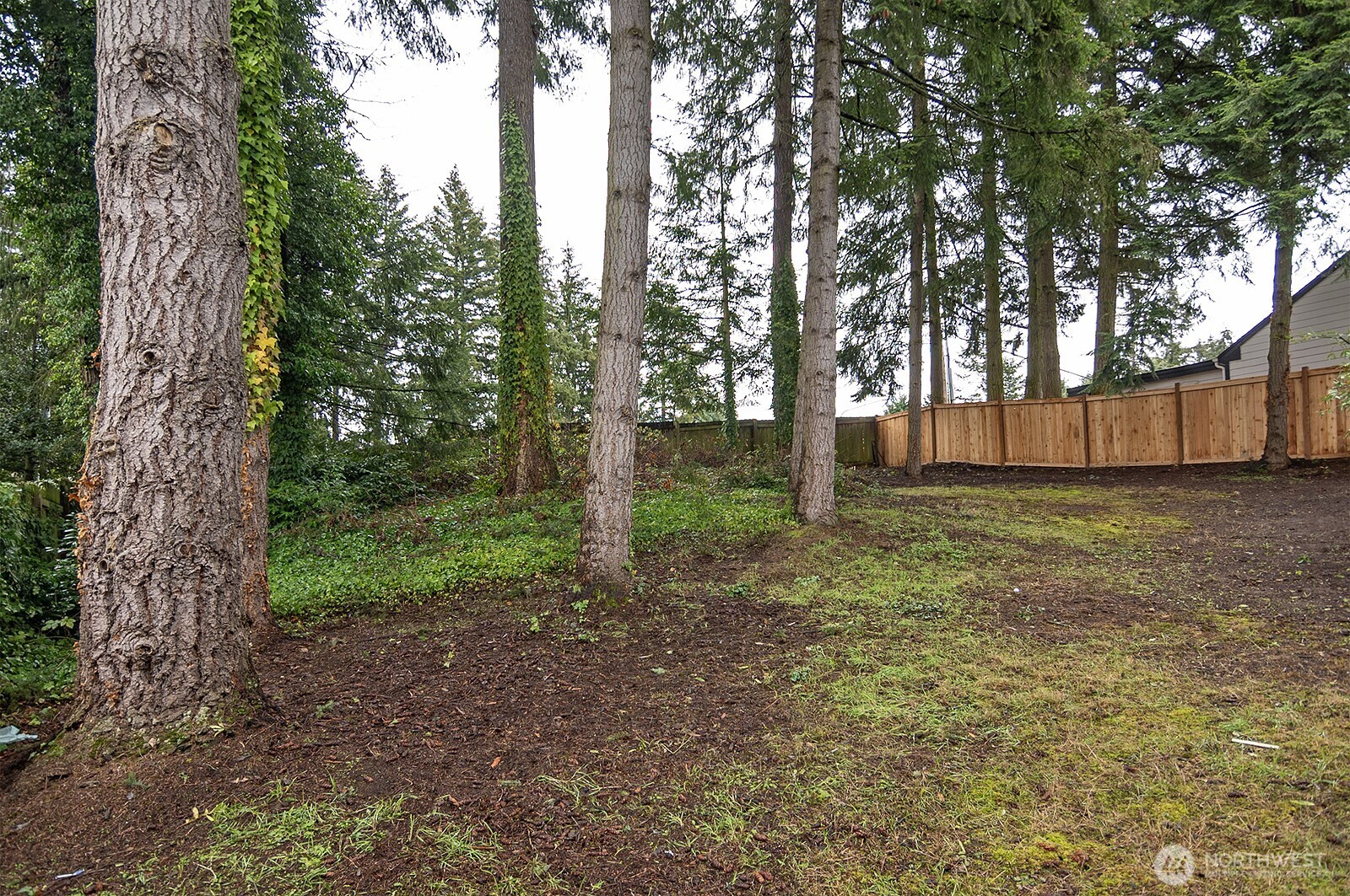 16162 139th Place Property Photo 22