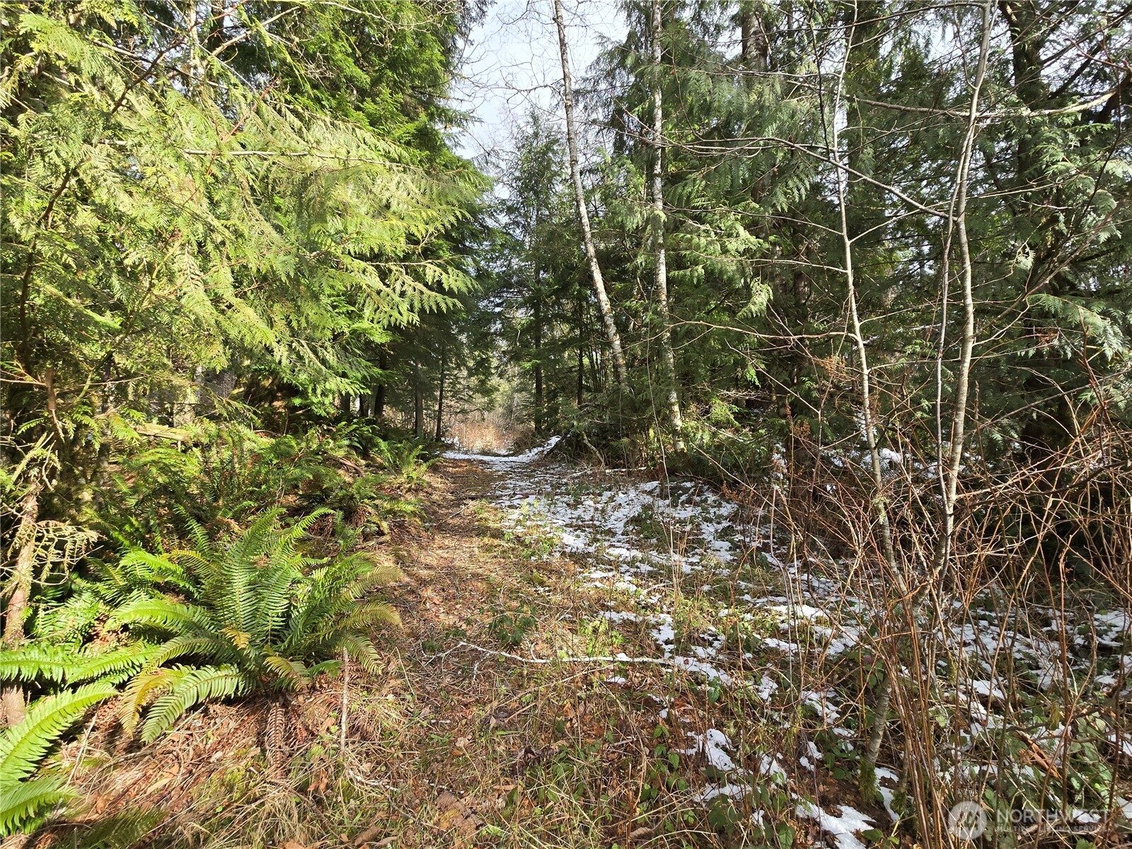 319 Xx Mountain Loop Hwy Property Photo 9