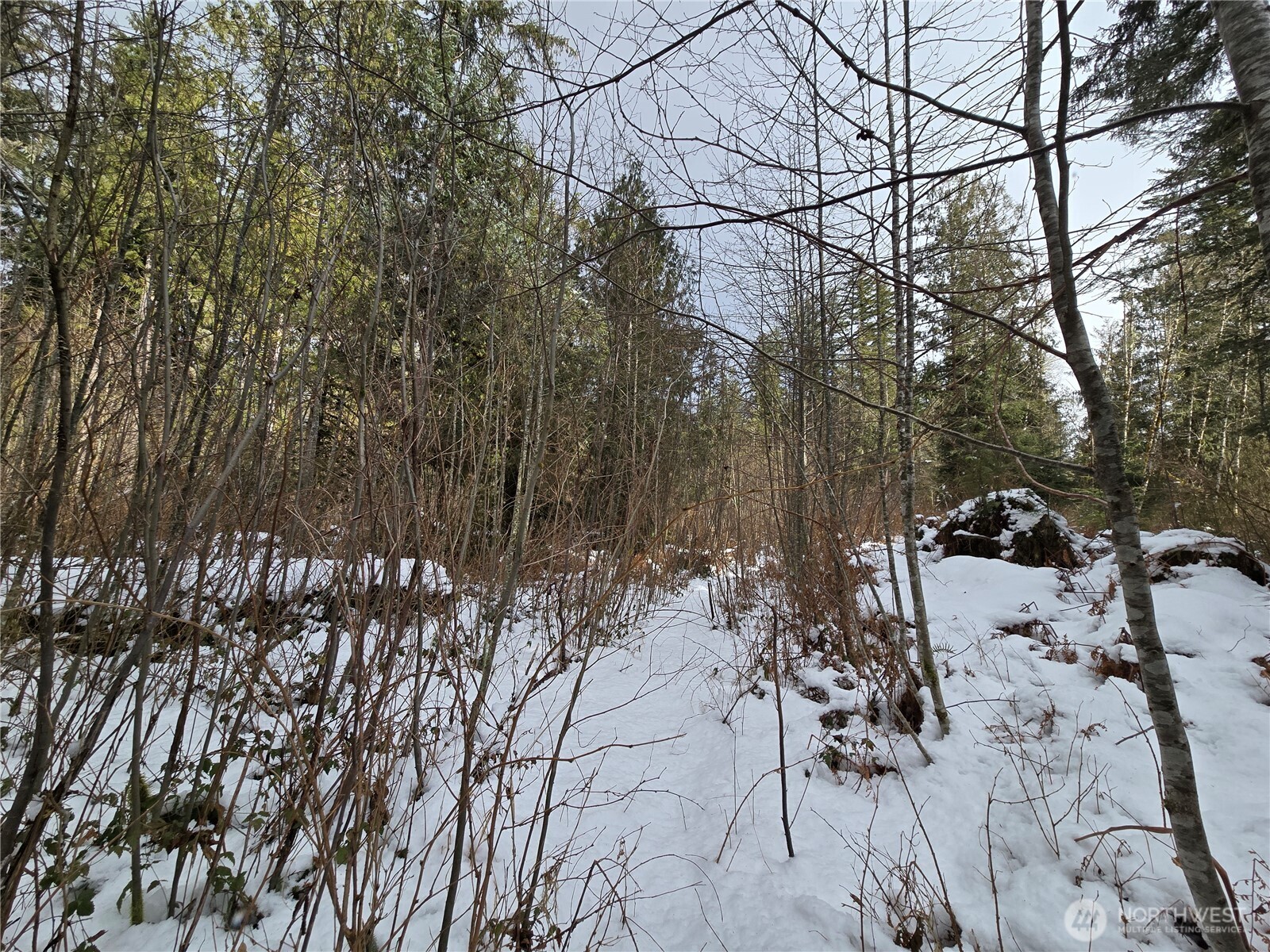 319 Xx Mountain Loop Hwy Property Photo 12