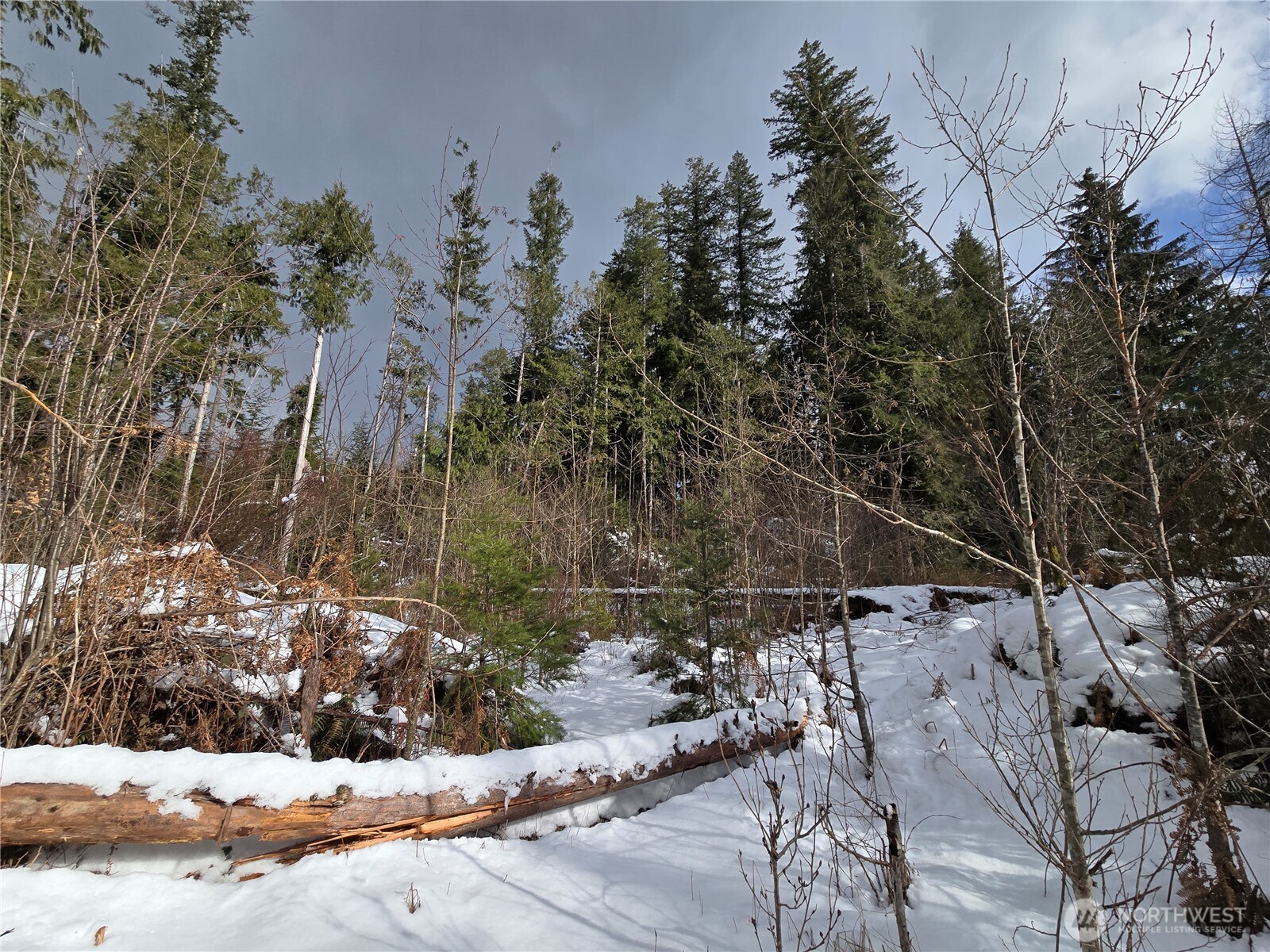 319 Xx Mountain Loop Hwy Property Photo 13