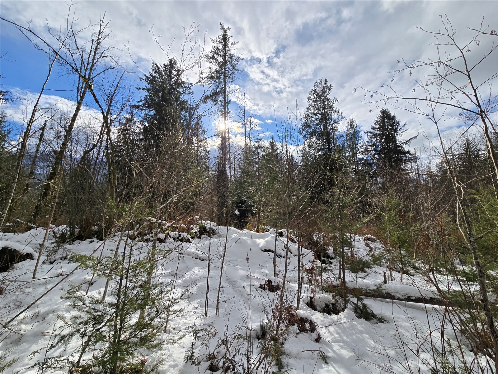 319 Xx Mountain Loop Hwy Property Photo 15
