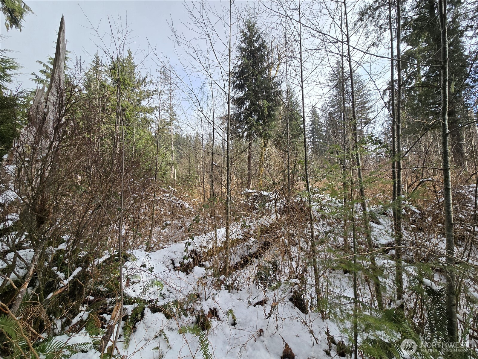 319 Xx Mountain Loop Hwy Property Photo 26