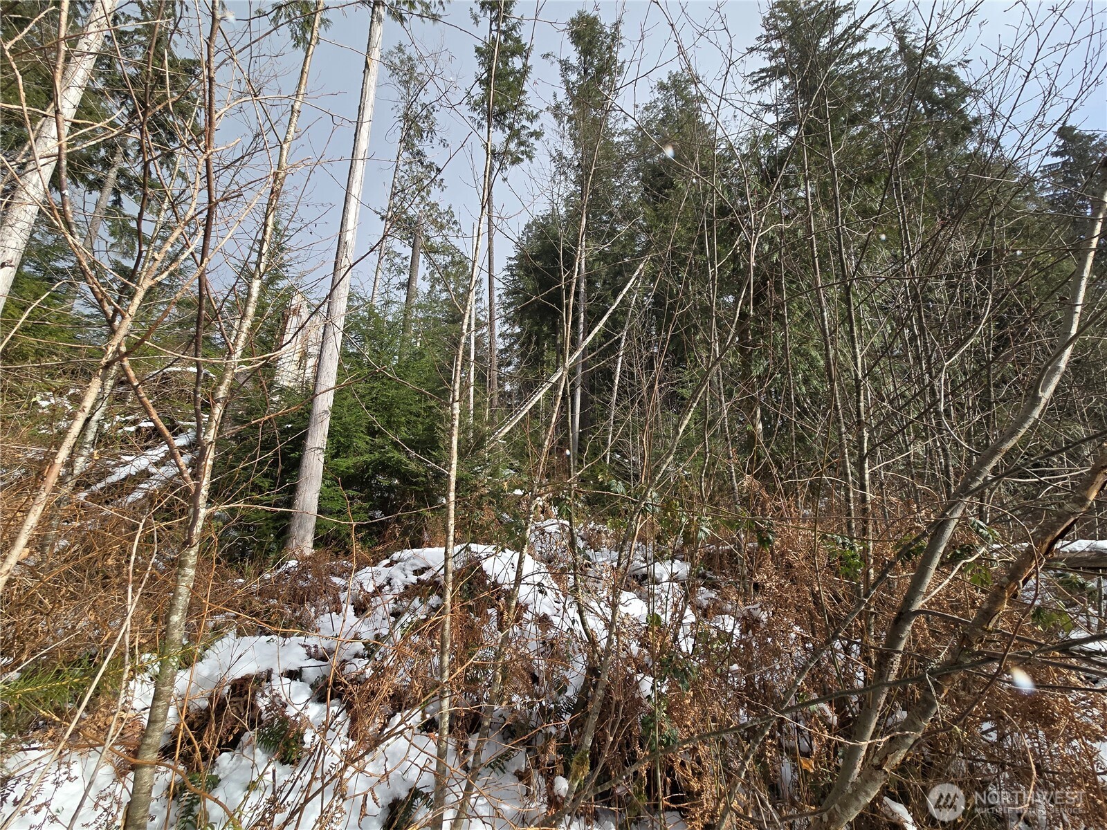 319 Xx Mountain Loop Hwy Property Photo 34