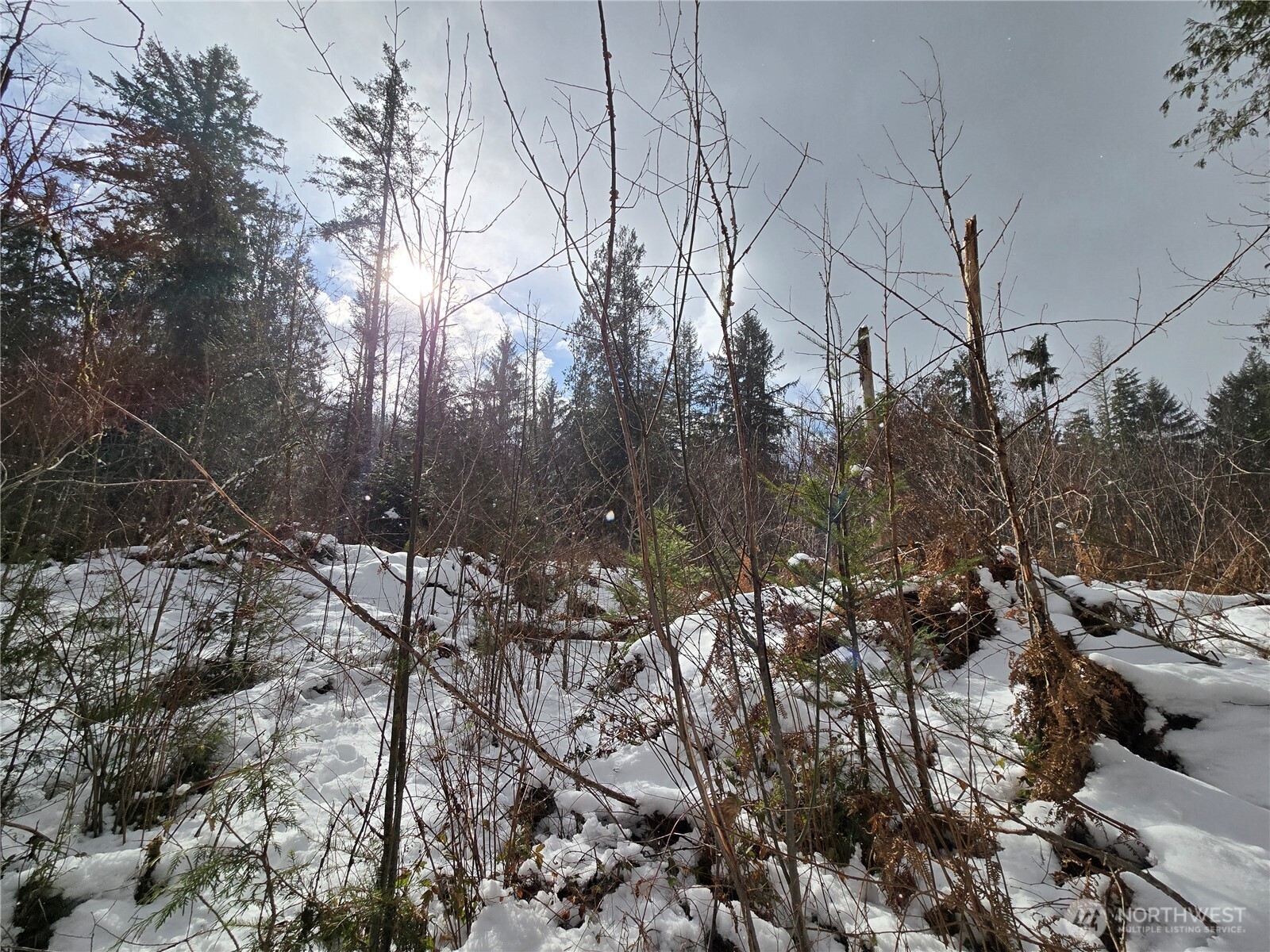 319 Xx Mountain Loop Hwy Property Photo 35