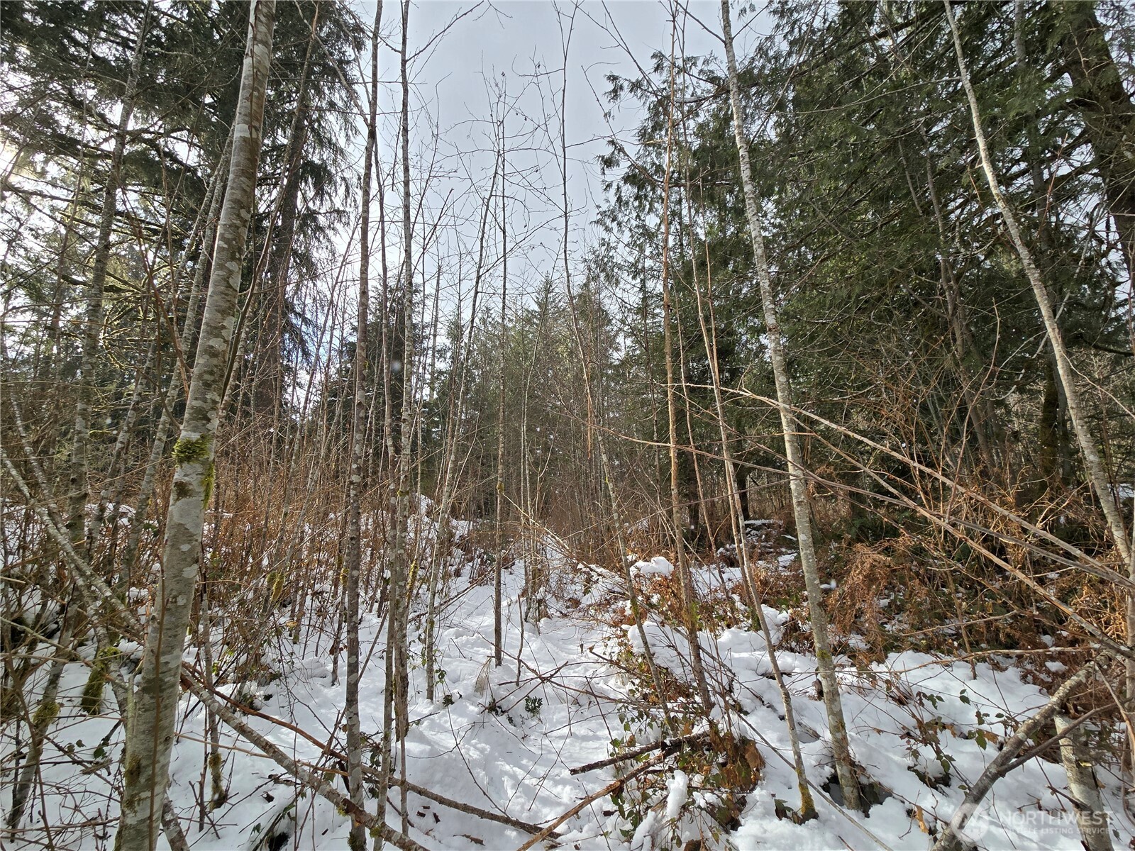 319 Xx Mountain Loop Hwy Property Photo 38