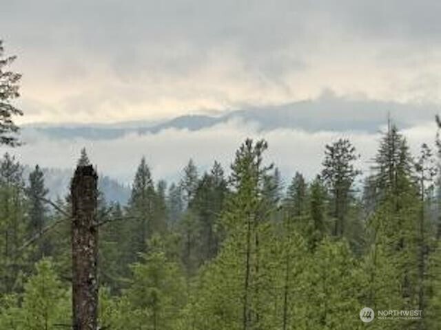 4684 Grouse Creek Road Lot B Property Photo