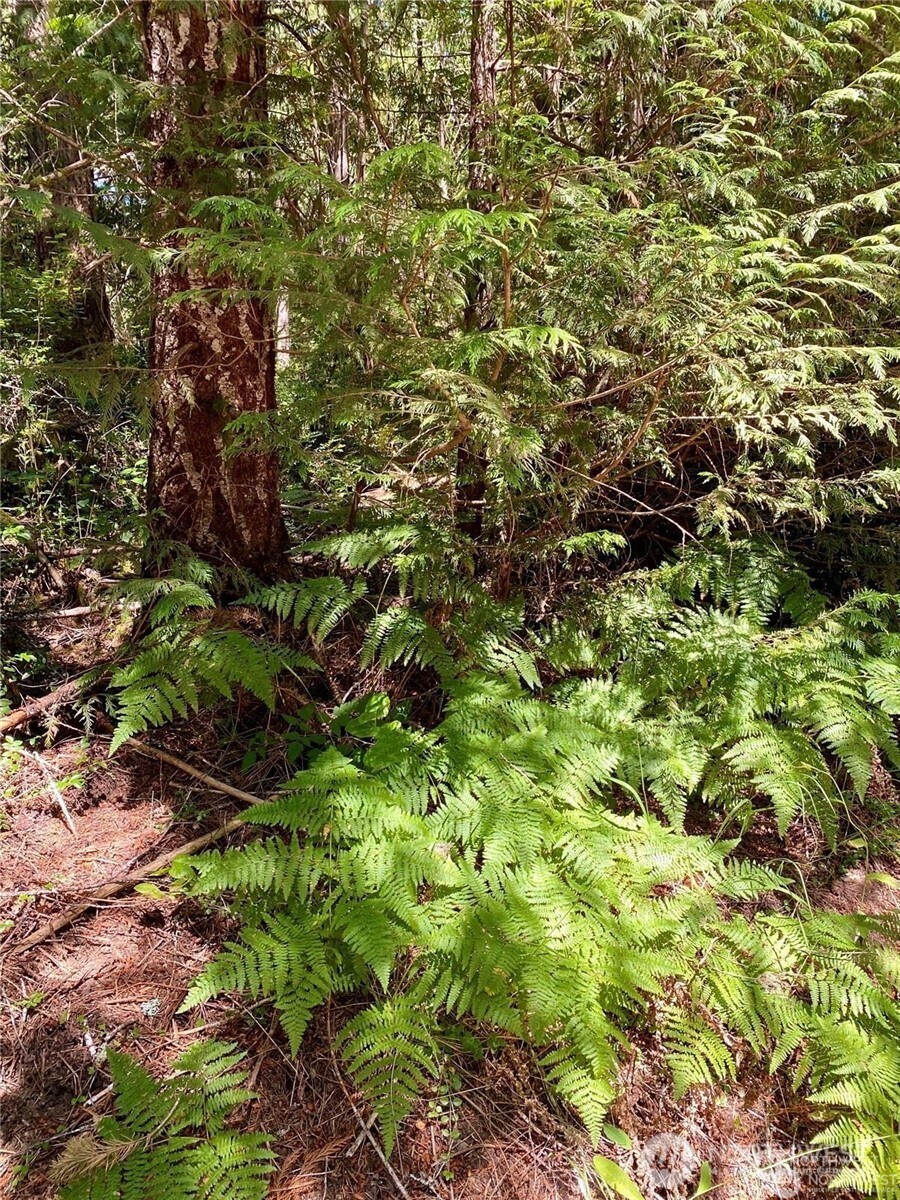 0 E Balmoral Way Property Photo 8