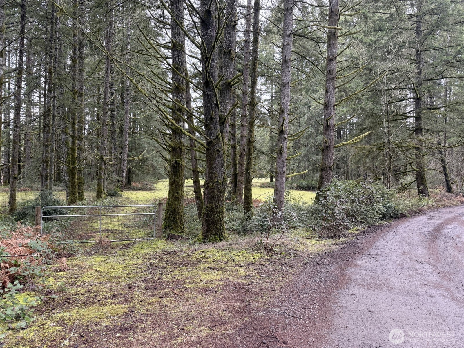3900 Sw Huckleberry Road Property Photo 2