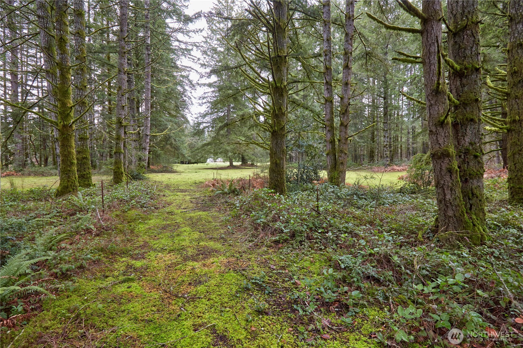3900 Sw Huckleberry Road Property Photo 4