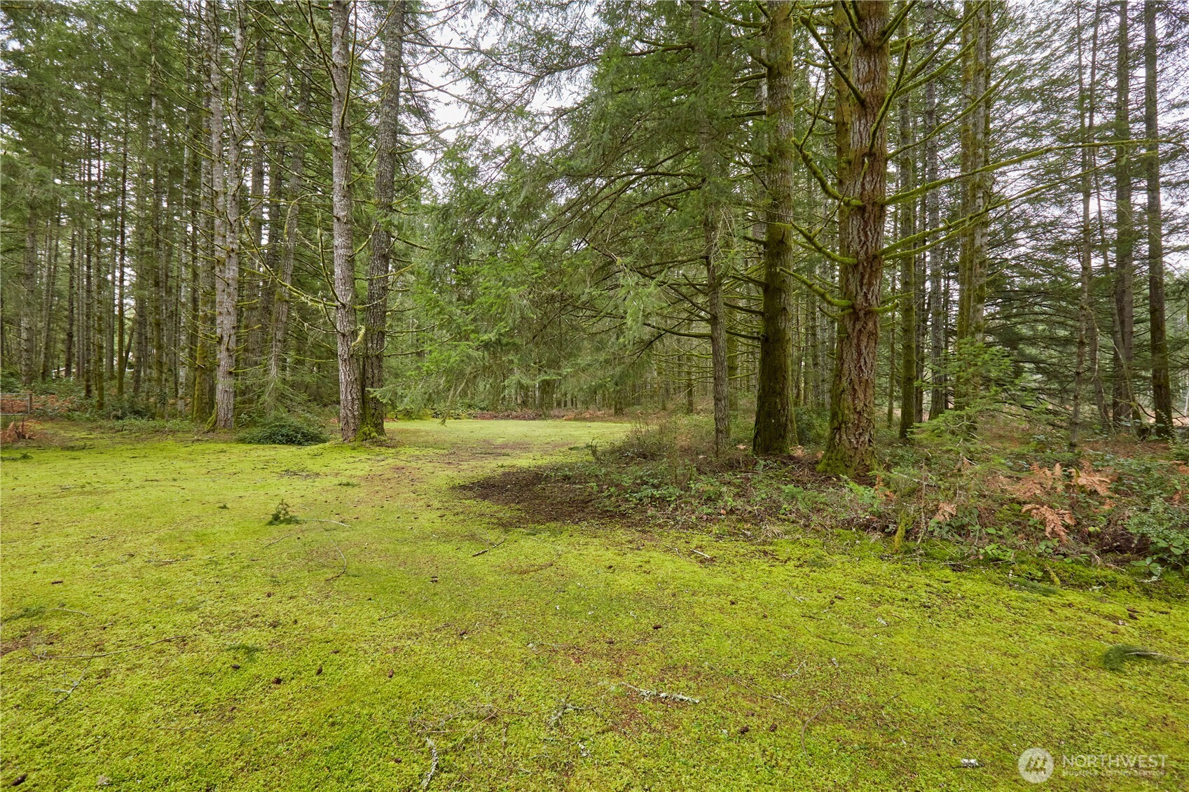3900 Sw Huckleberry Road Property Photo 8