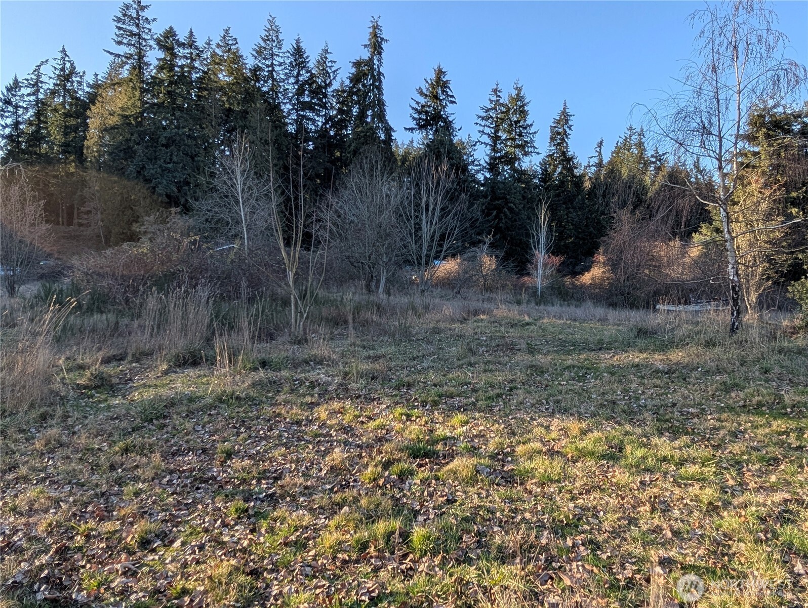 8208 8216 Canyon Road Property Photo 20